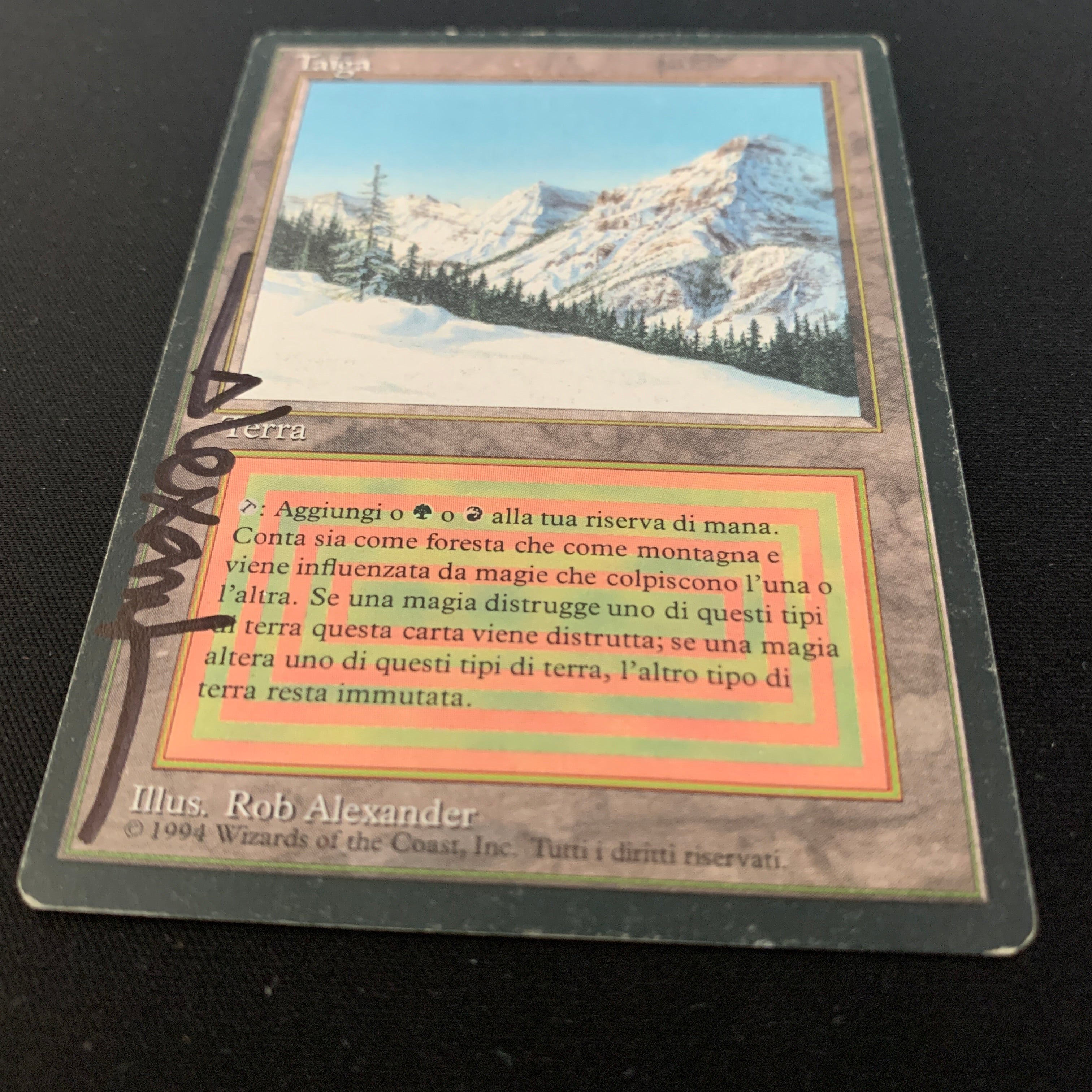 MTG Singles - Taiga - Foreign Black Bordered - 