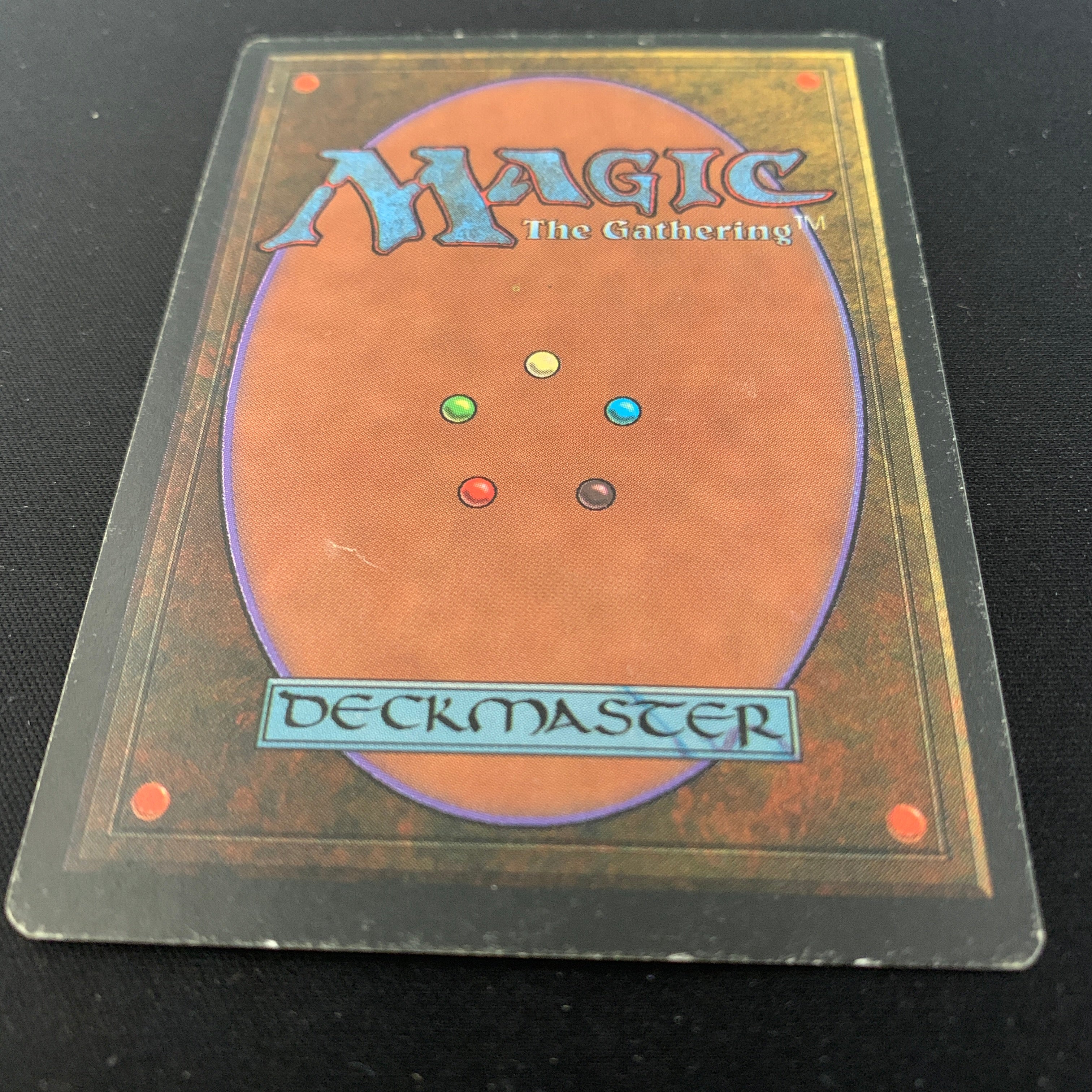 MTG Singles - Taiga - Foreign Black Bordered - 