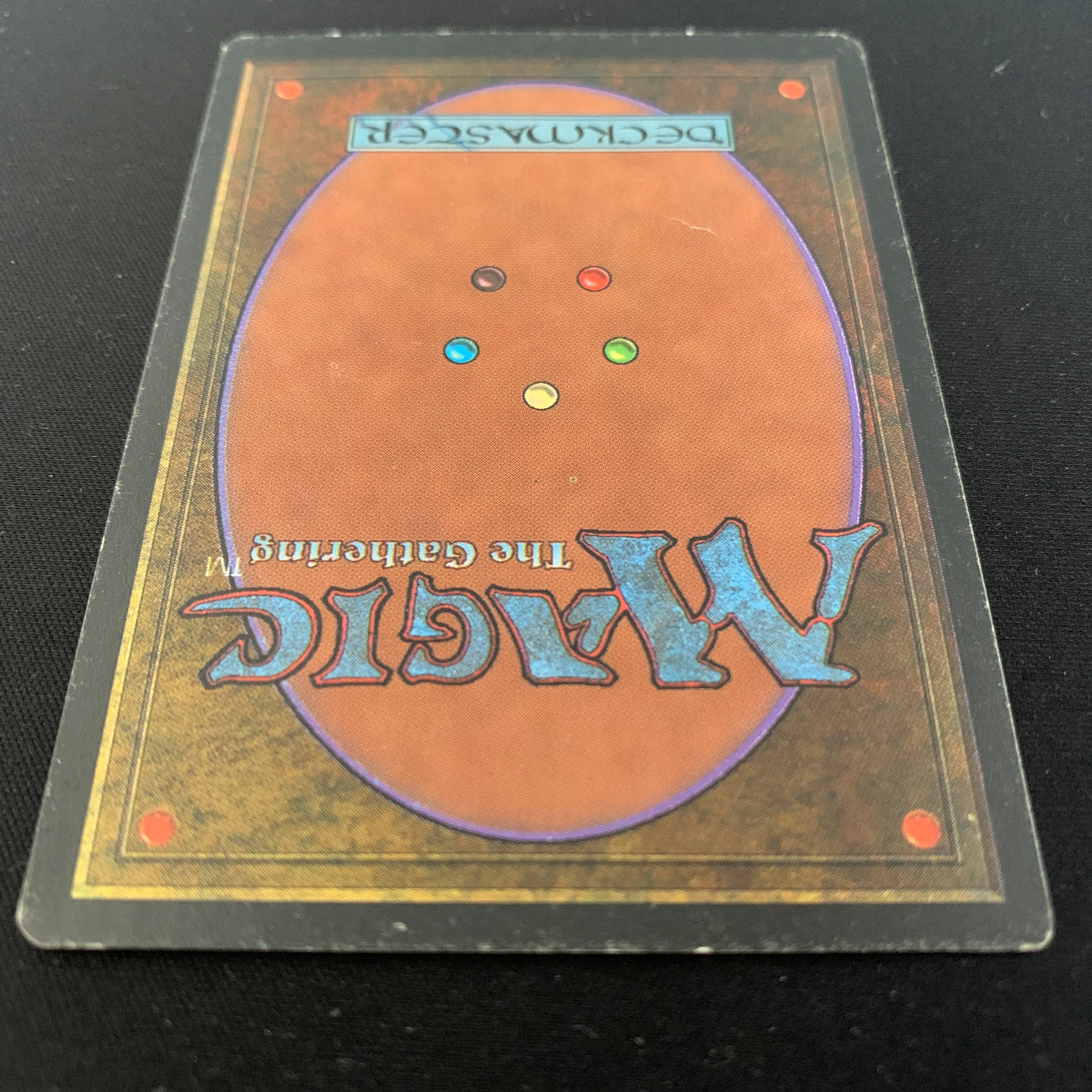 MTG Singles - Taiga - Foreign Black Bordered - 