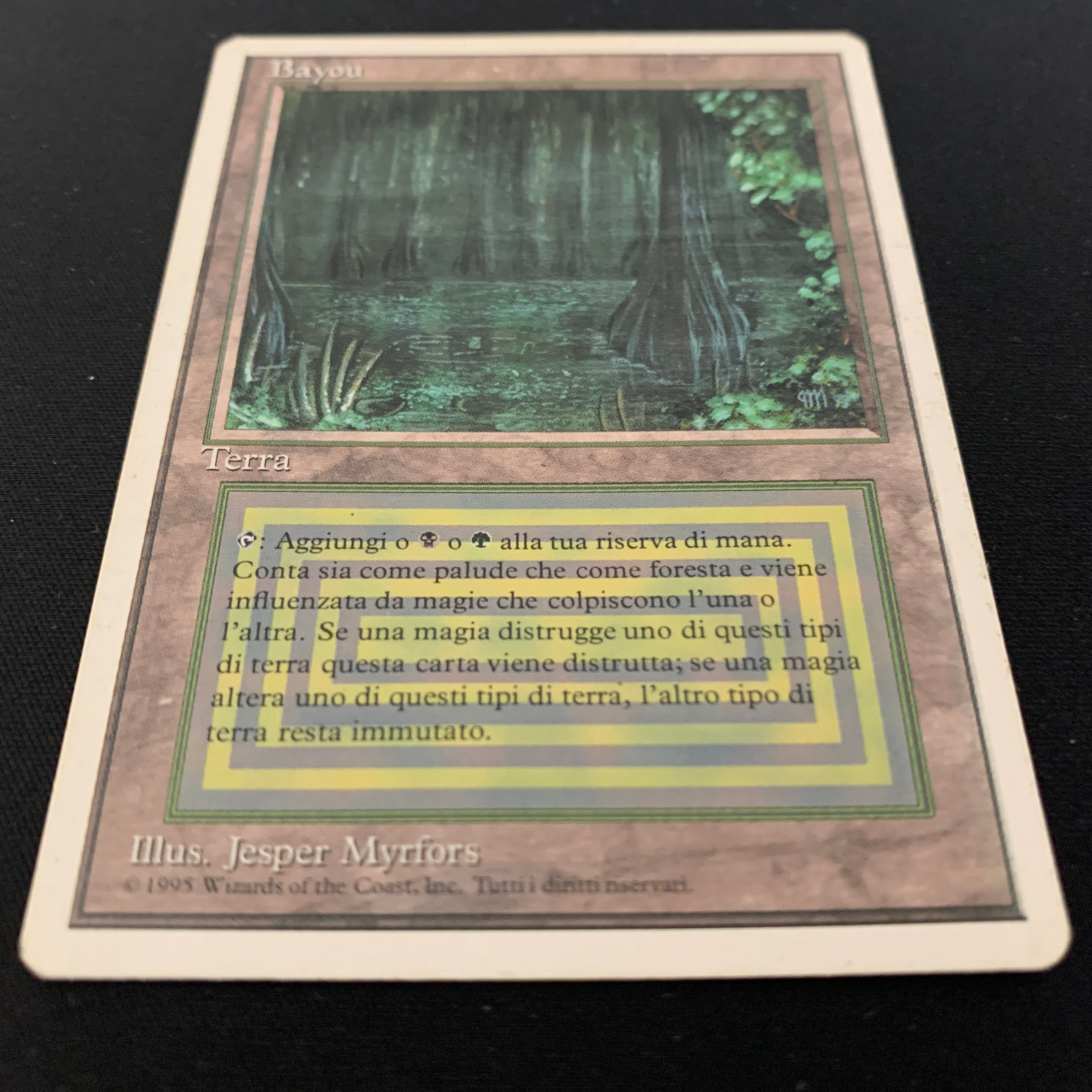 MTG Singles - Bayou - Foreign White Bordered - 