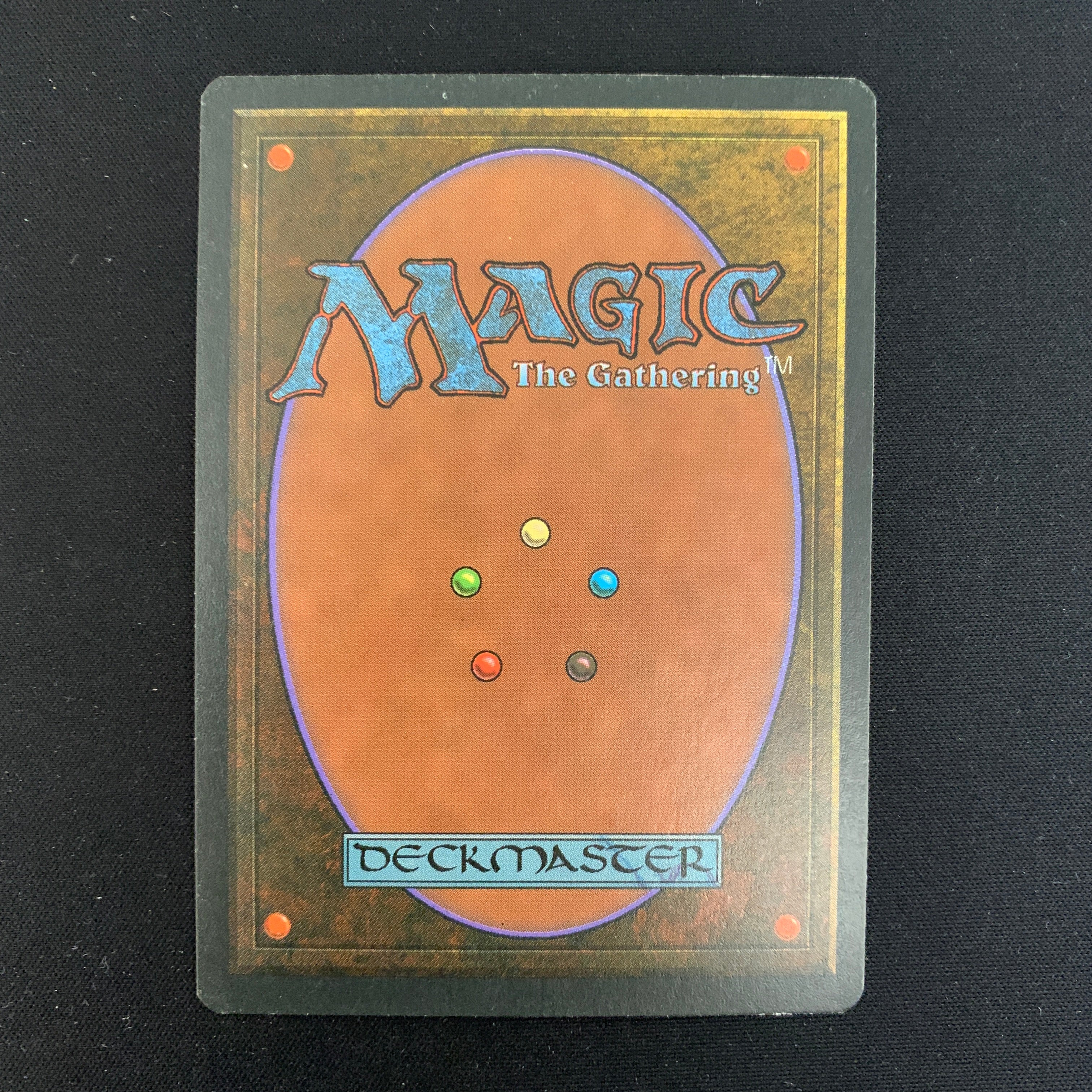 MTG Singles - Taiga - Foreign White Bordered - 