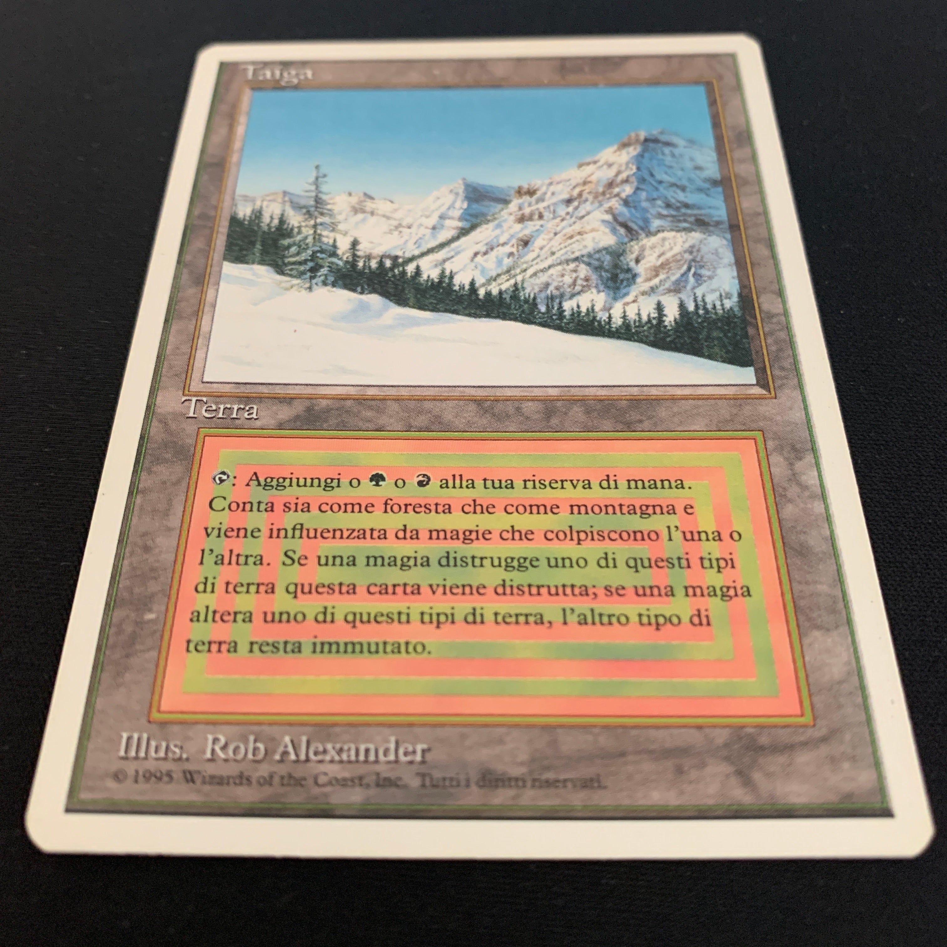 MTG Singles - Taiga - Foreign White Bordered - 