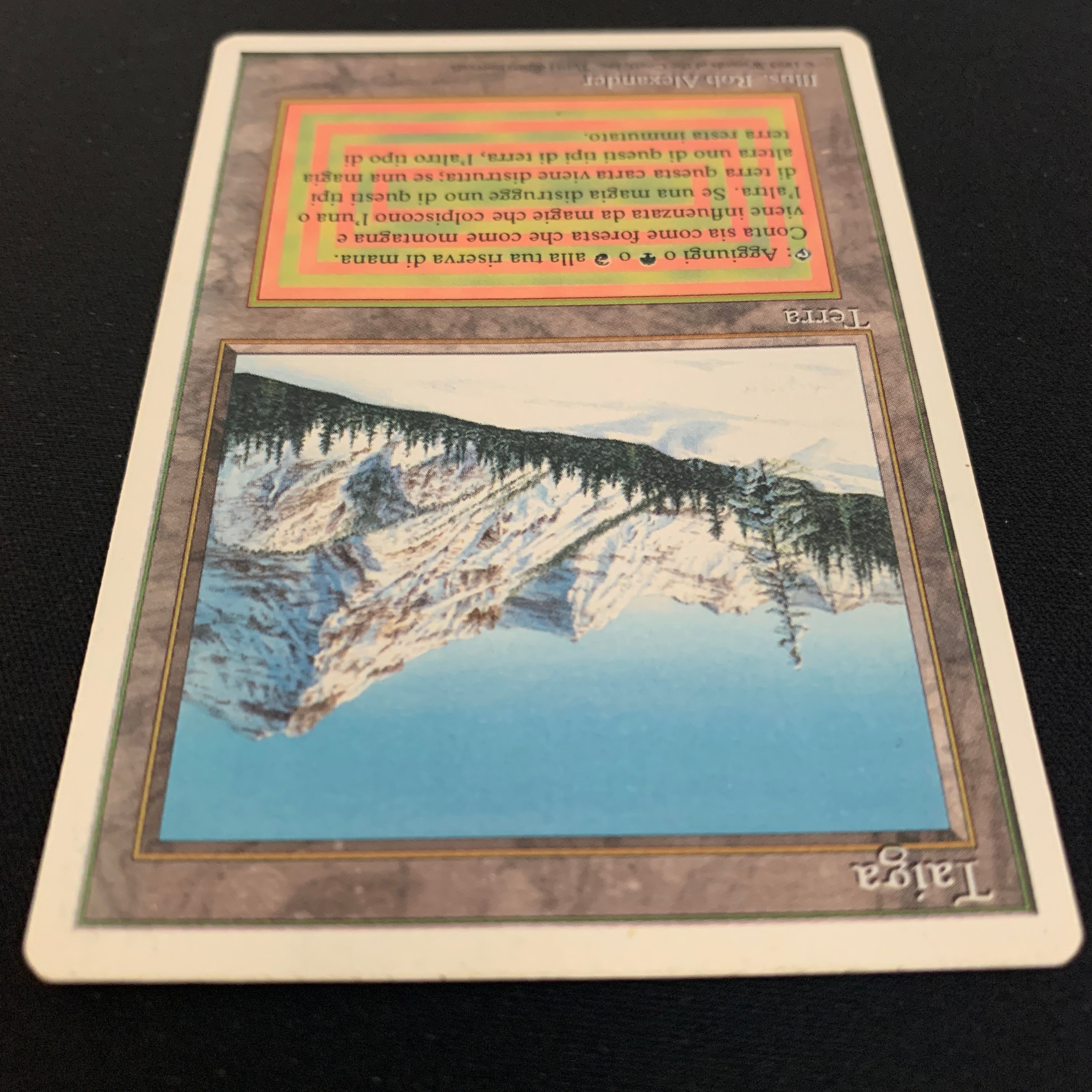 MTG Singles - Taiga - Foreign White Bordered - 