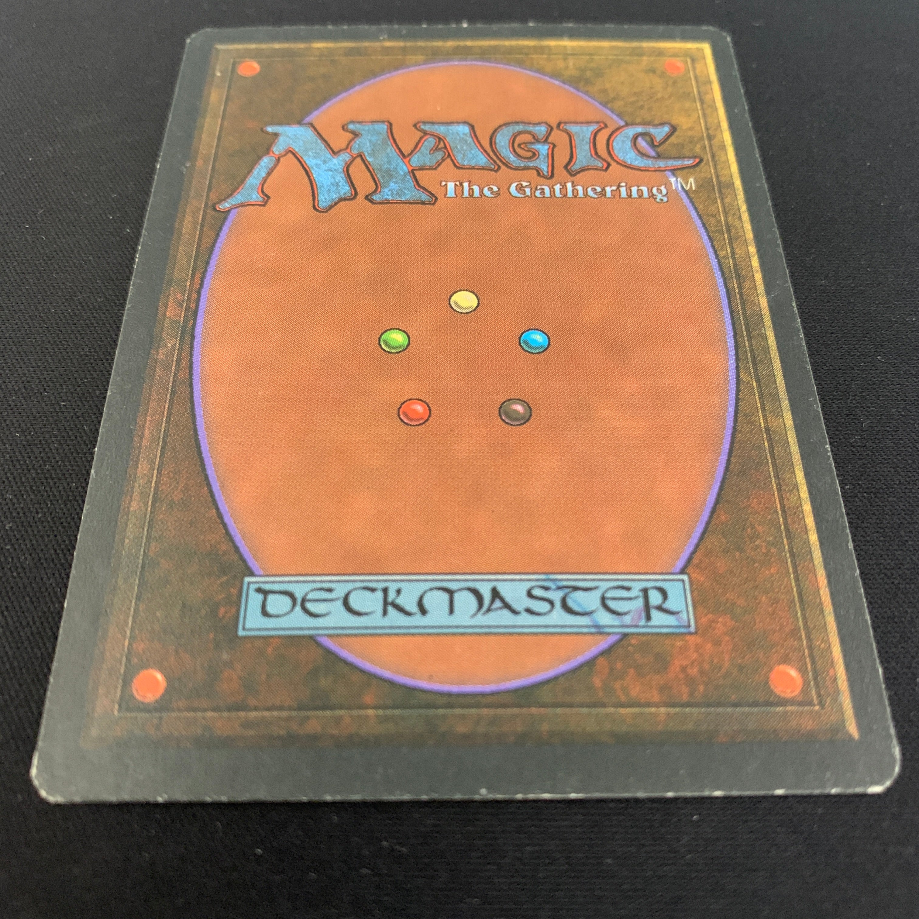 MTG Singles - Taiga - Foreign White Bordered - 