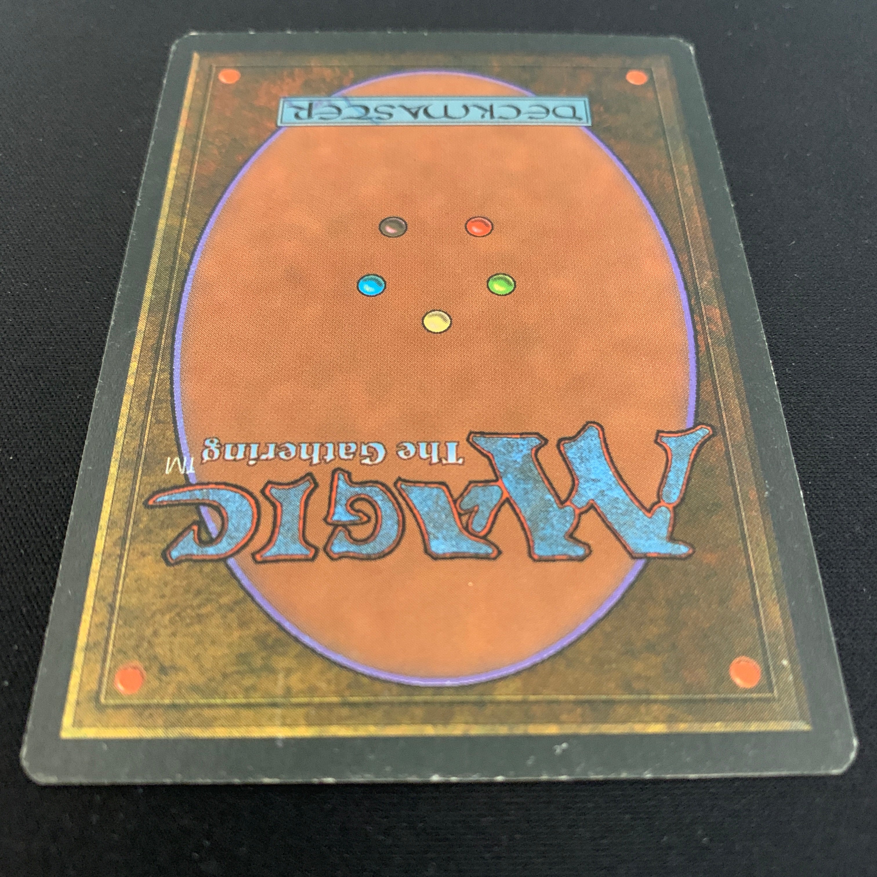 MTG Singles - Taiga - Foreign White Bordered - 