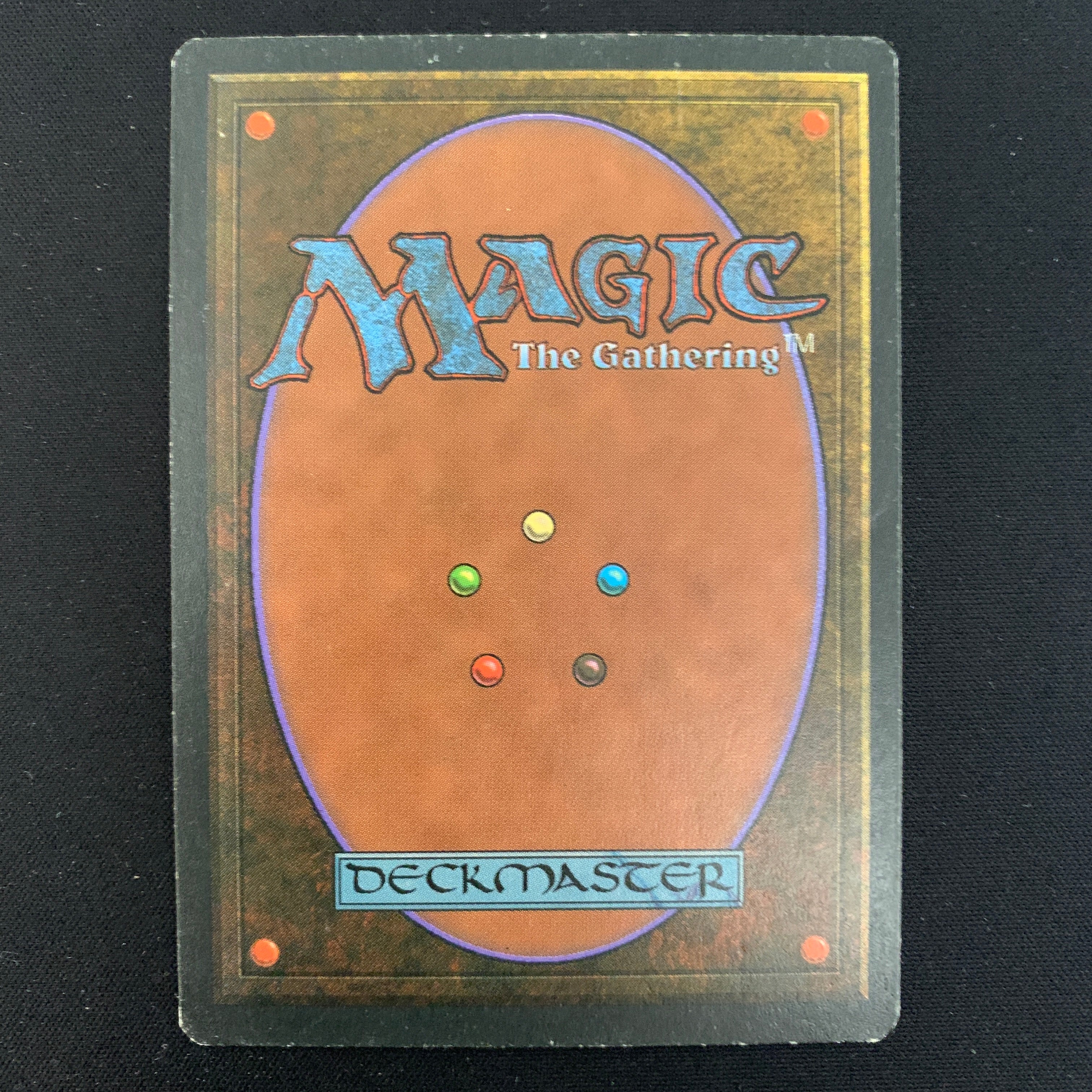 MTG Singles - Taiga - Foreign White Bordered - 