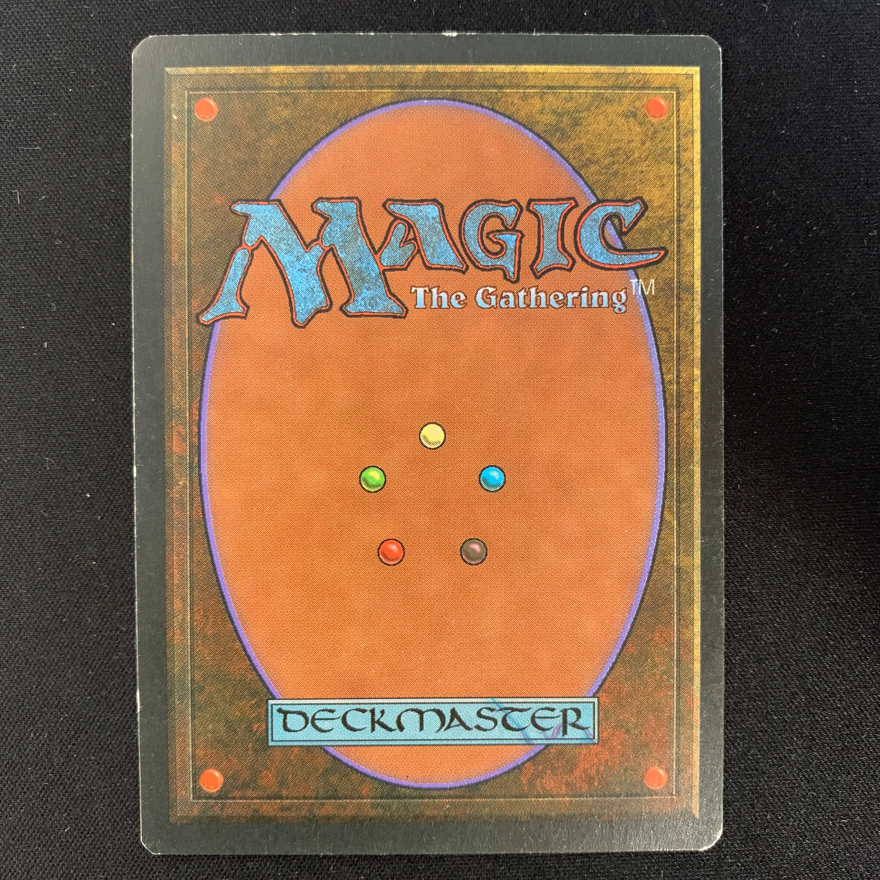 MTG Singles - Taiga - Foreign Black Bordered - 