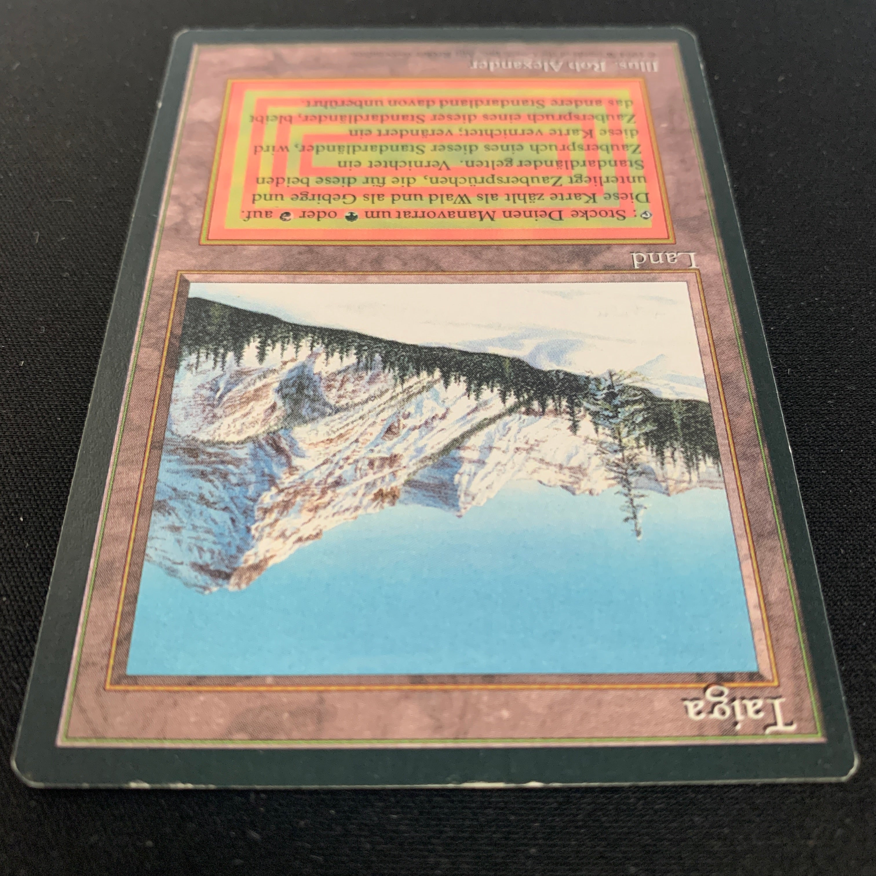 MTG Singles - Taiga - Foreign Black Bordered - 