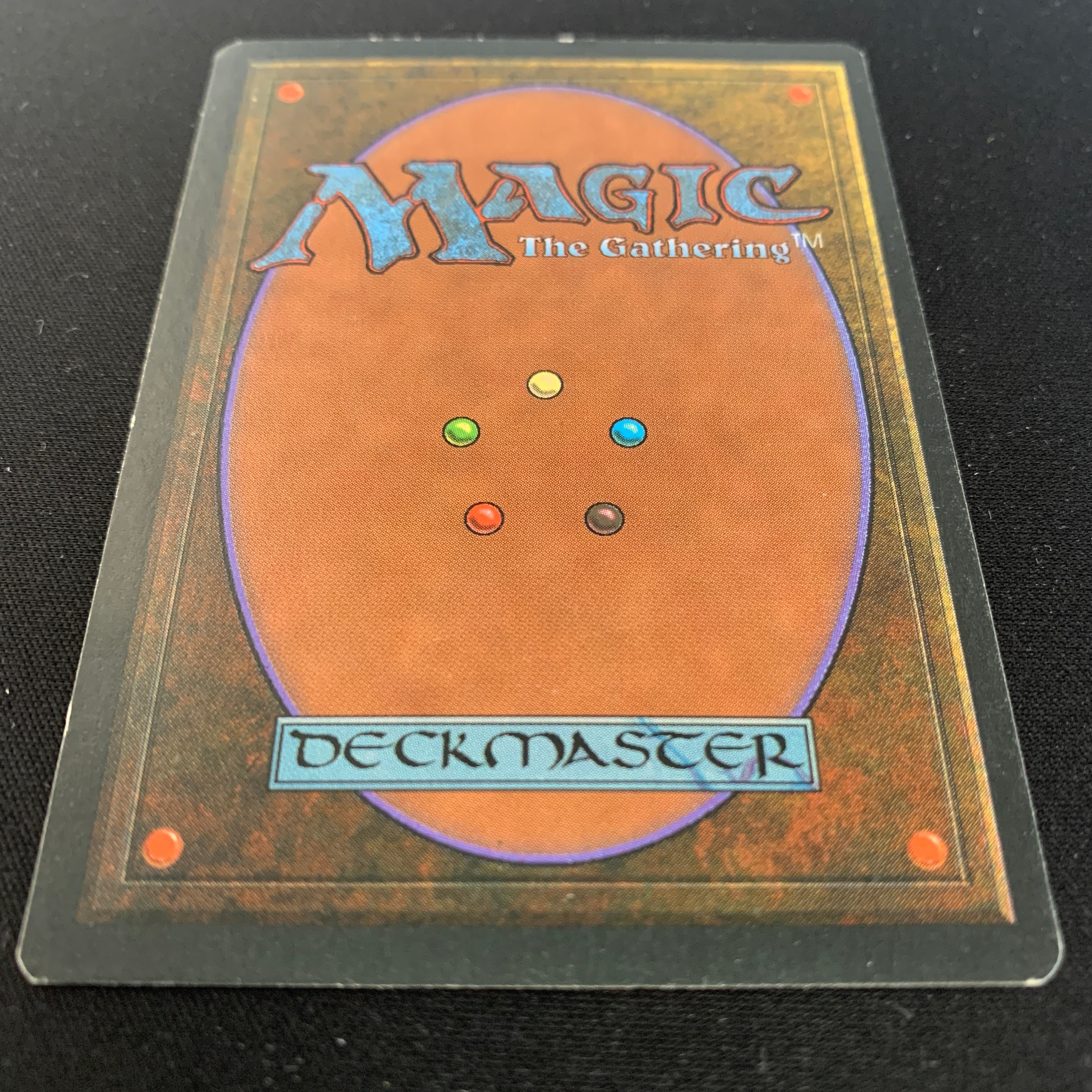 MTG Singles - Taiga - Foreign Black Bordered - 