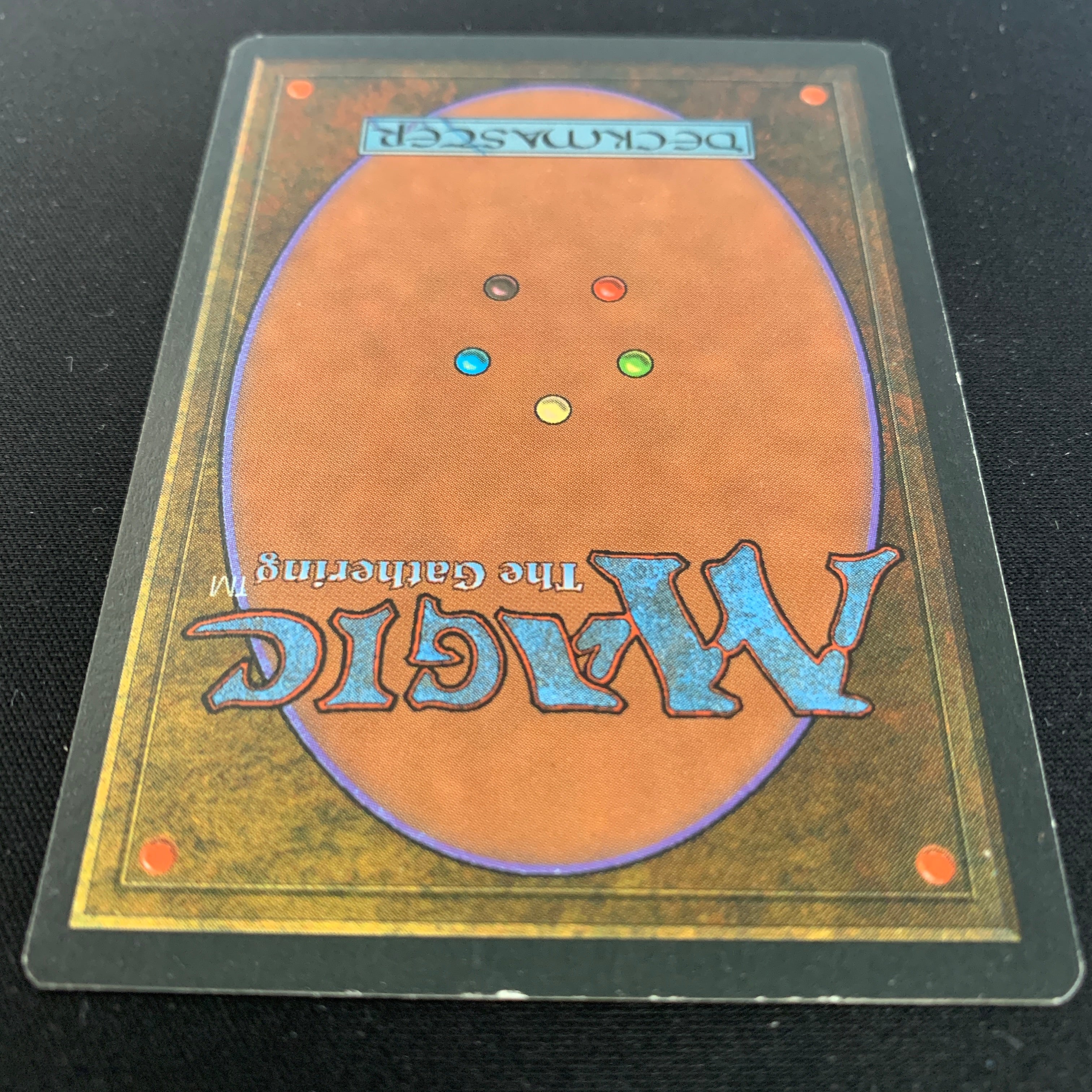 MTG Singles - Taiga - Foreign Black Bordered - 