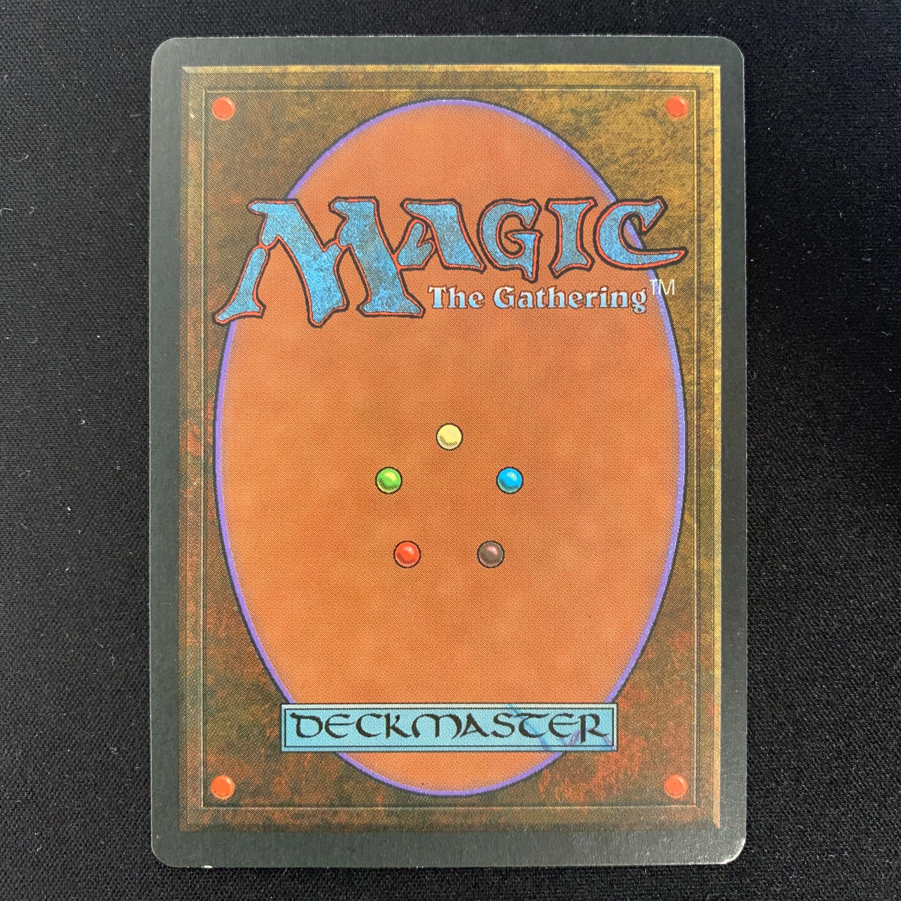 MTG Singles - Taiga - Foreign Black Bordered - 