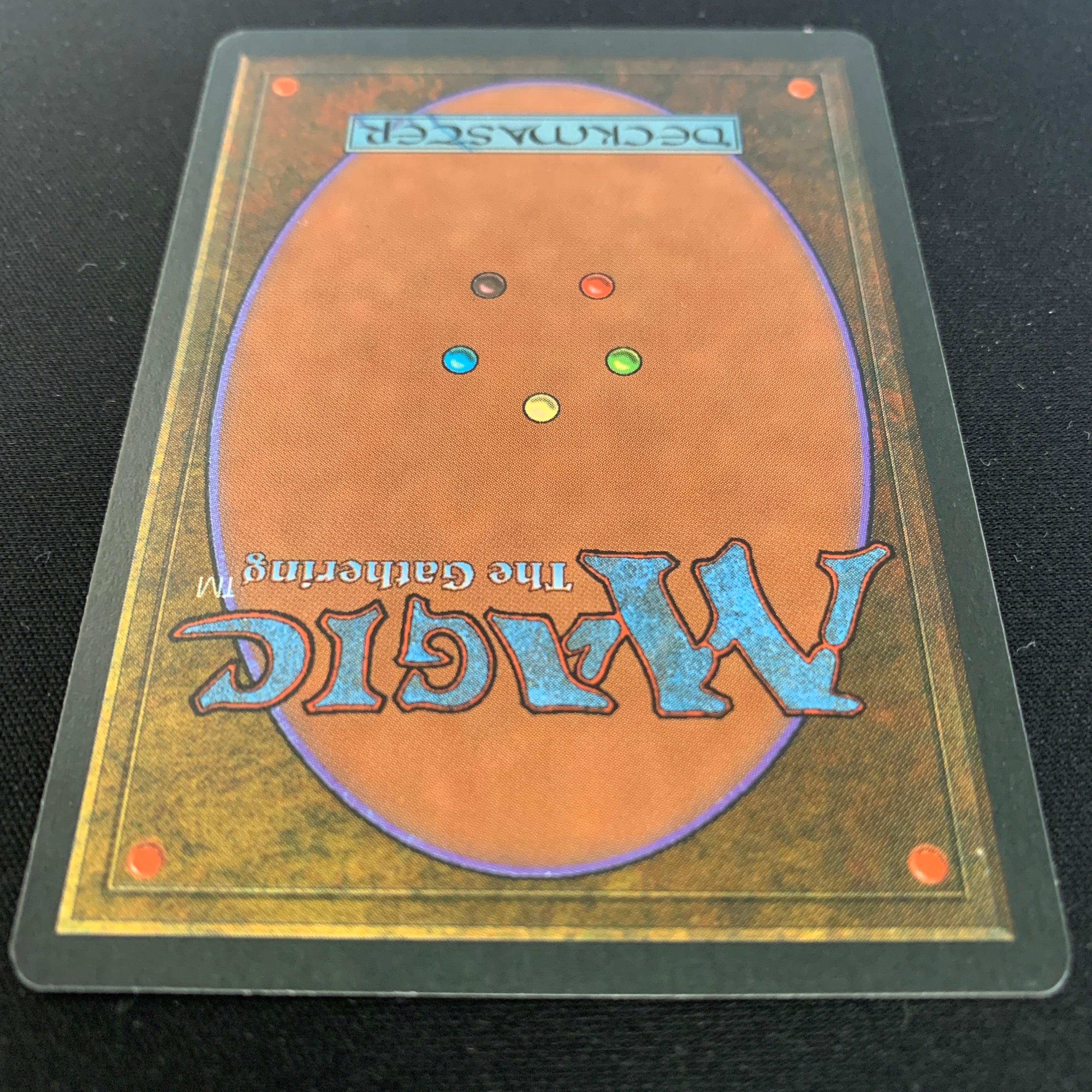 MTG Singles - Taiga - Foreign Black Bordered - 