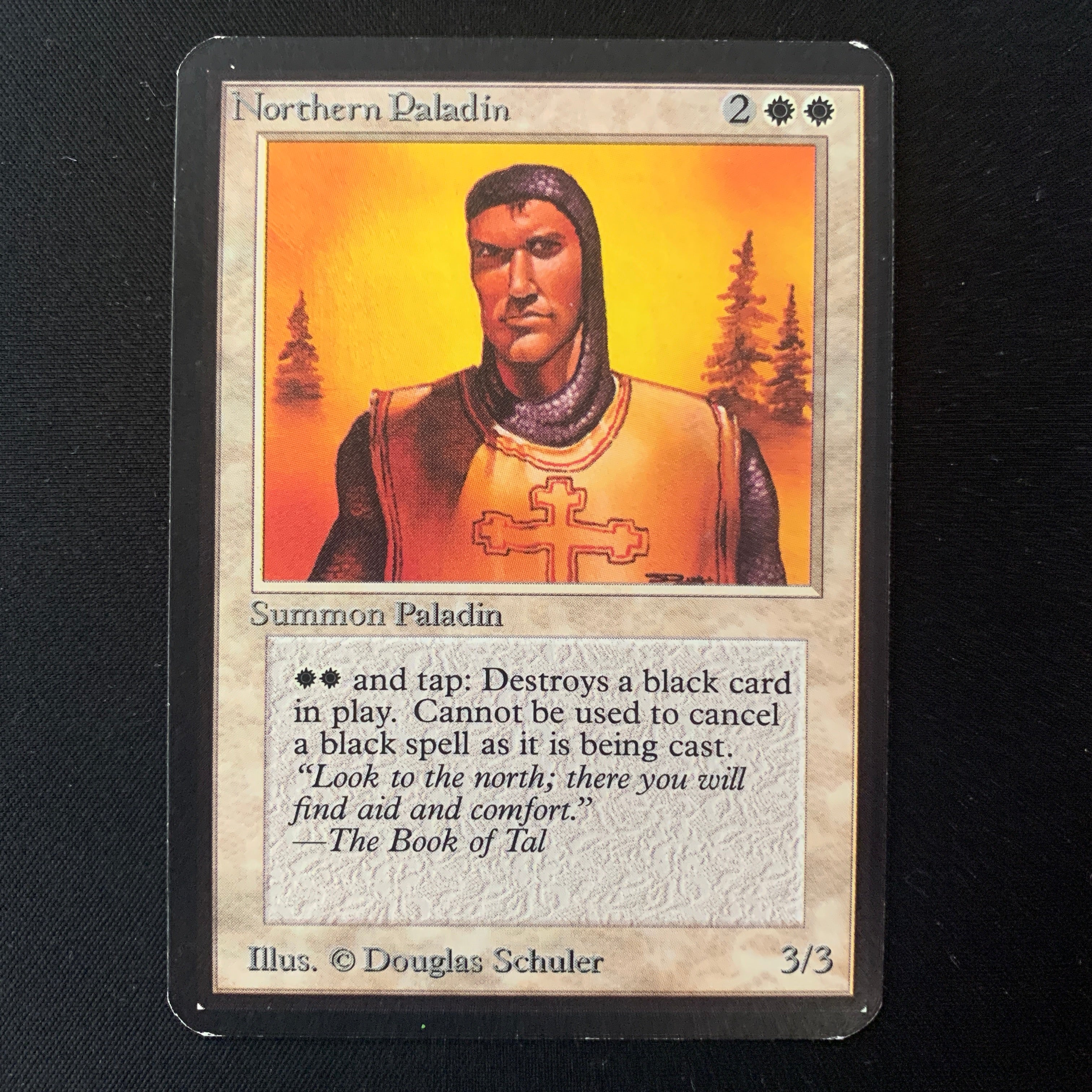 MTG Singles - Northern Paladin - Alpha - EX - 24914