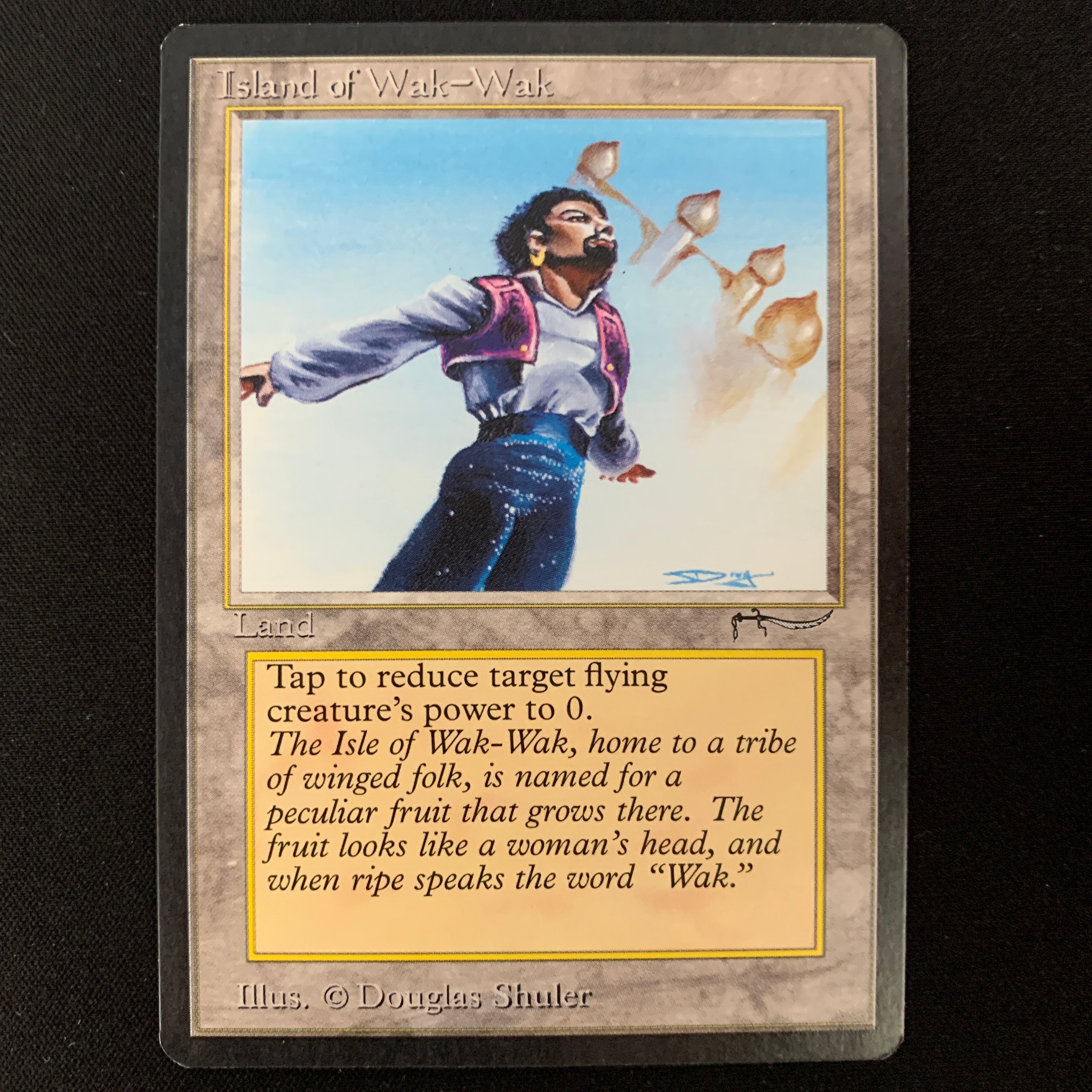 MTG Singles - Island of Wak-Wak - Arabian Nights - NM - 24987