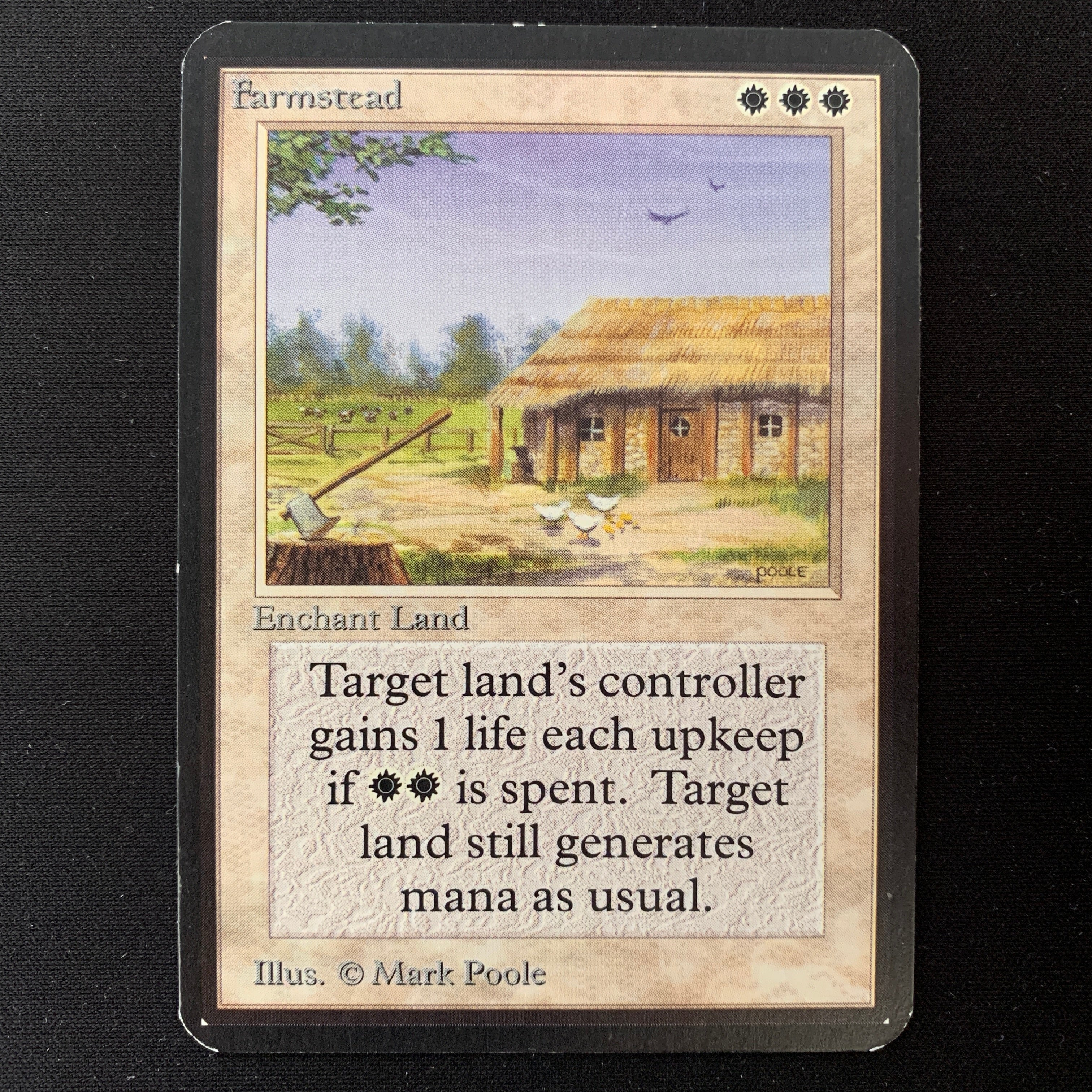 MTG Singles - Farmstead - Alpha - EX - 25055