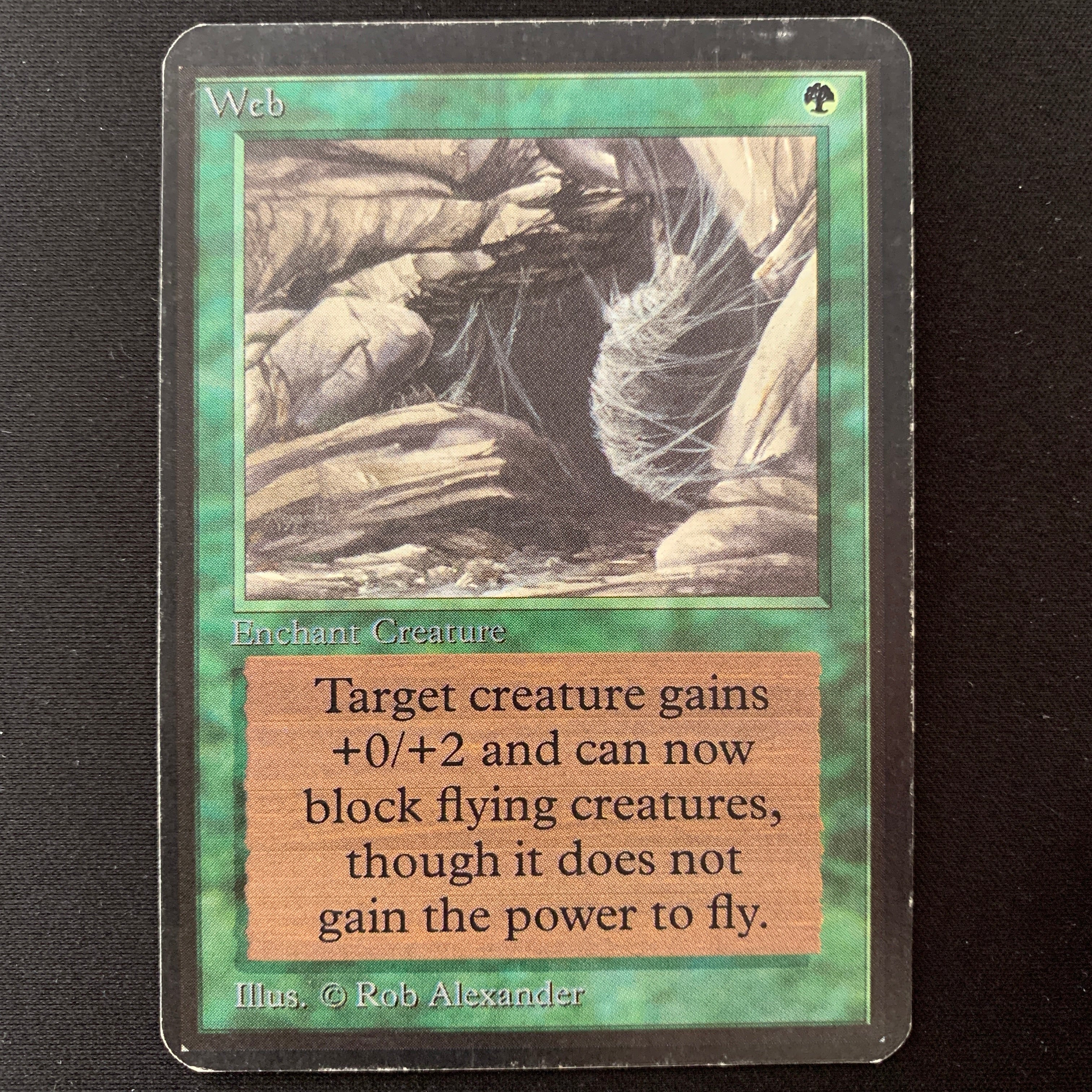 MTG Singles - Web - Alpha - PL - DING - 25073
