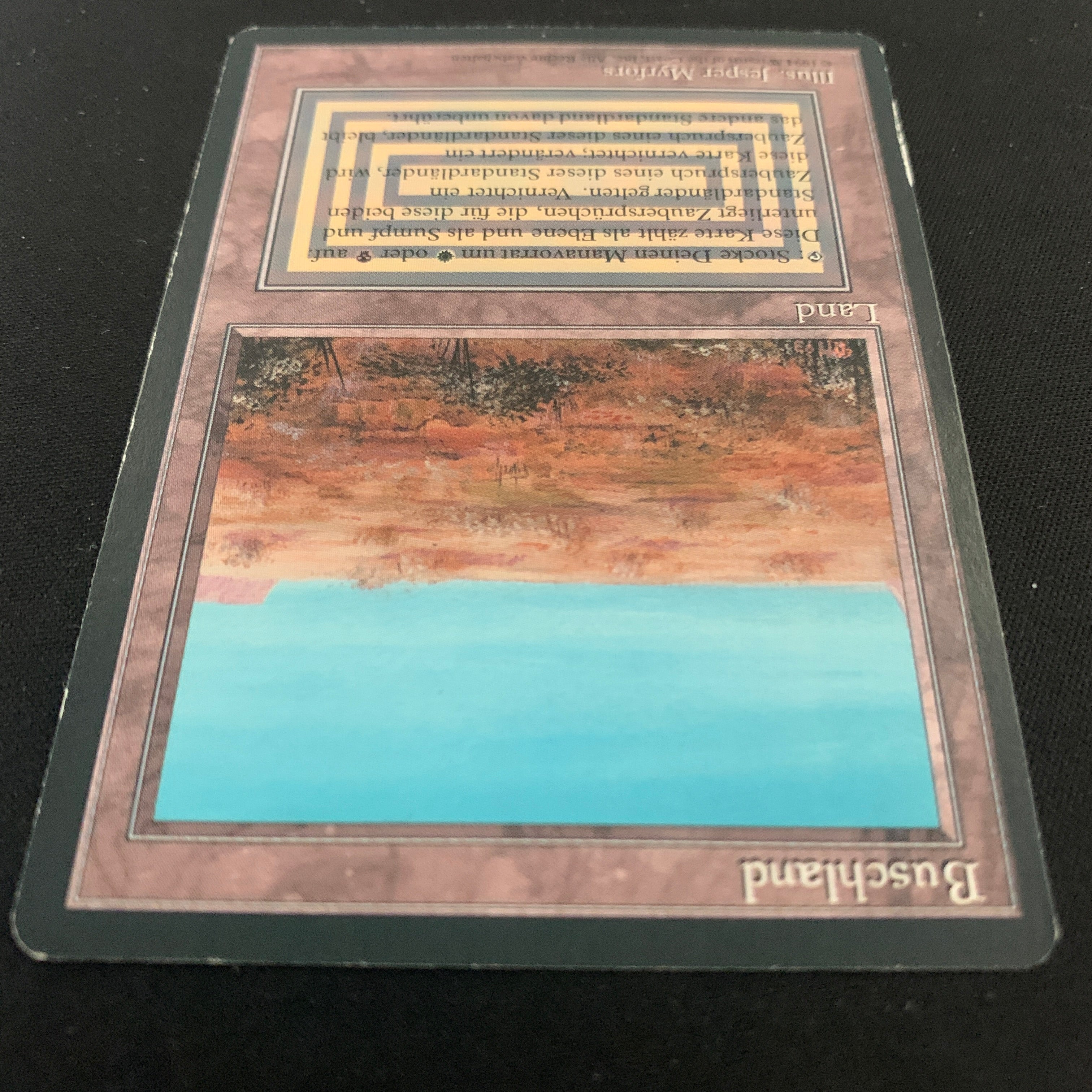 MTG Singles - Scrubland - Foreign Black Bordered - 