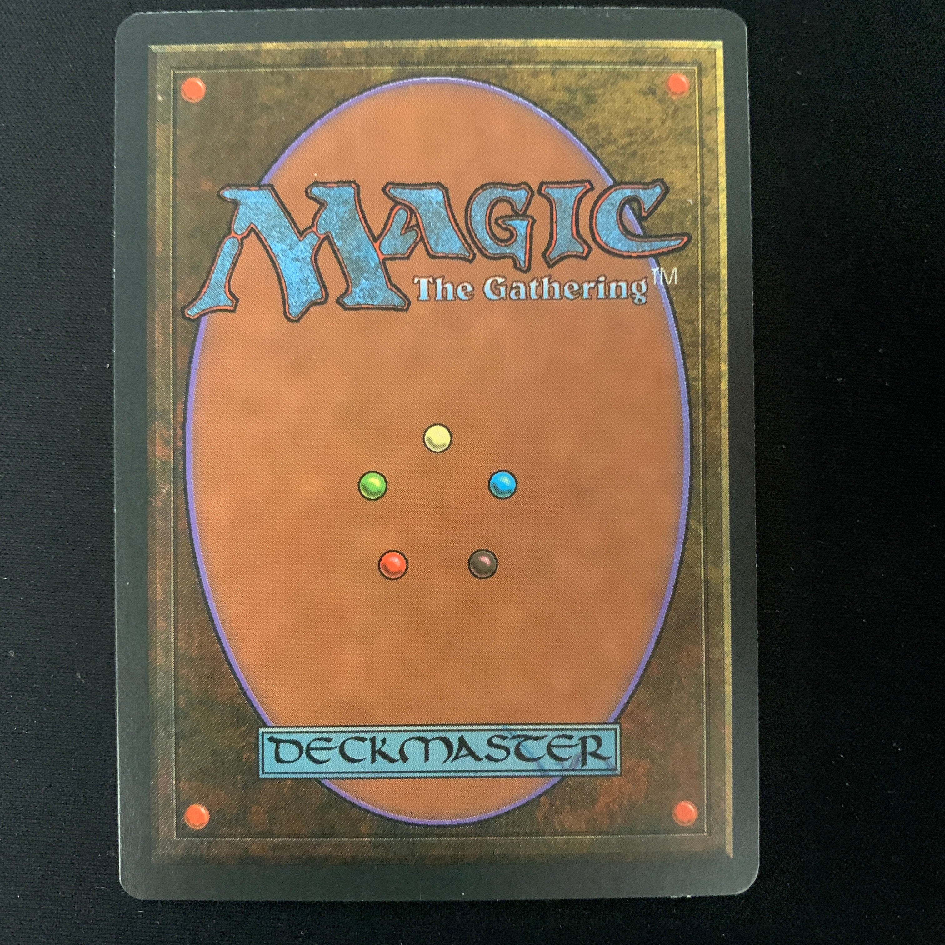 MTG Singles - Taiga - Foreign Black Bordered - 