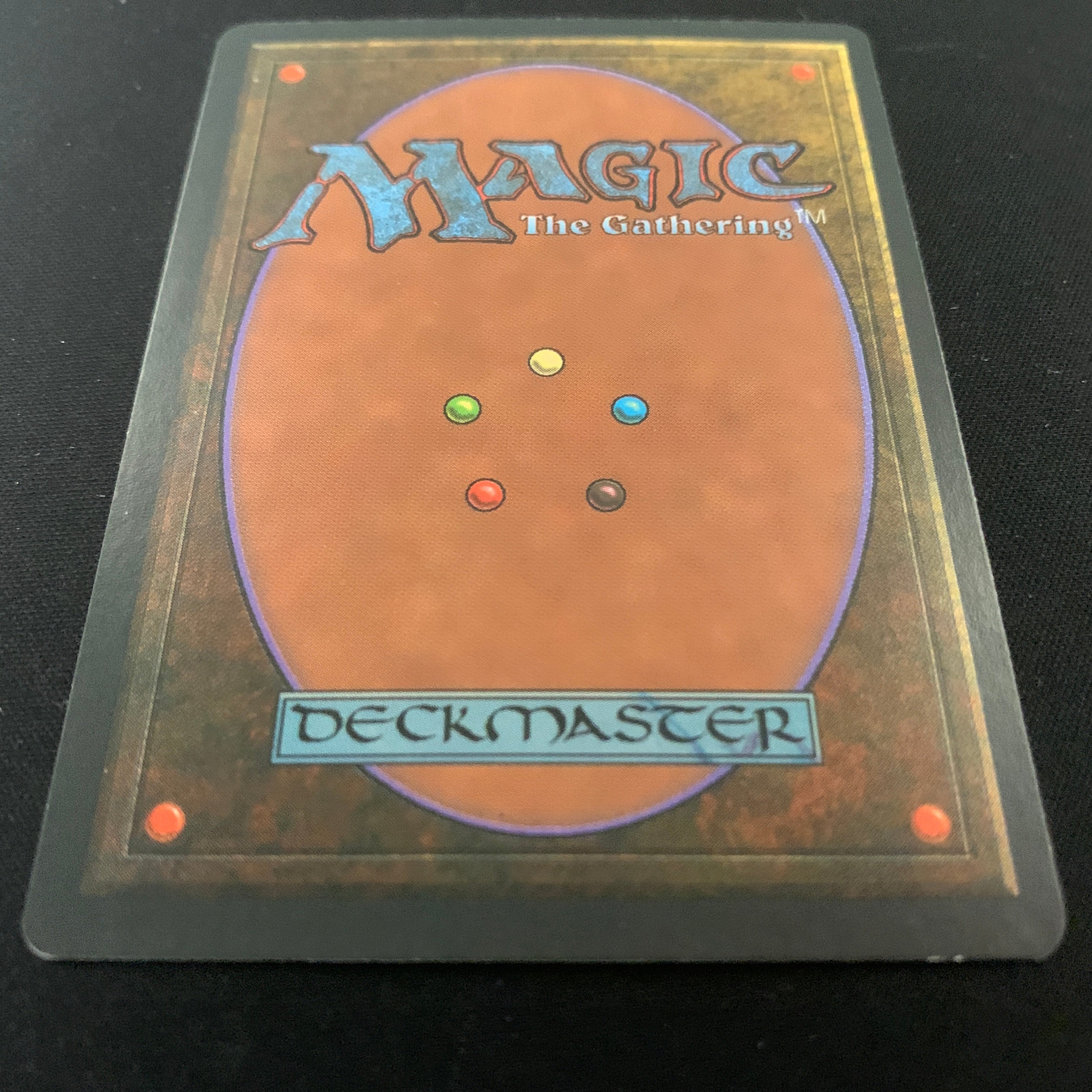 MTG Singles - Taiga - Foreign Black Bordered - 