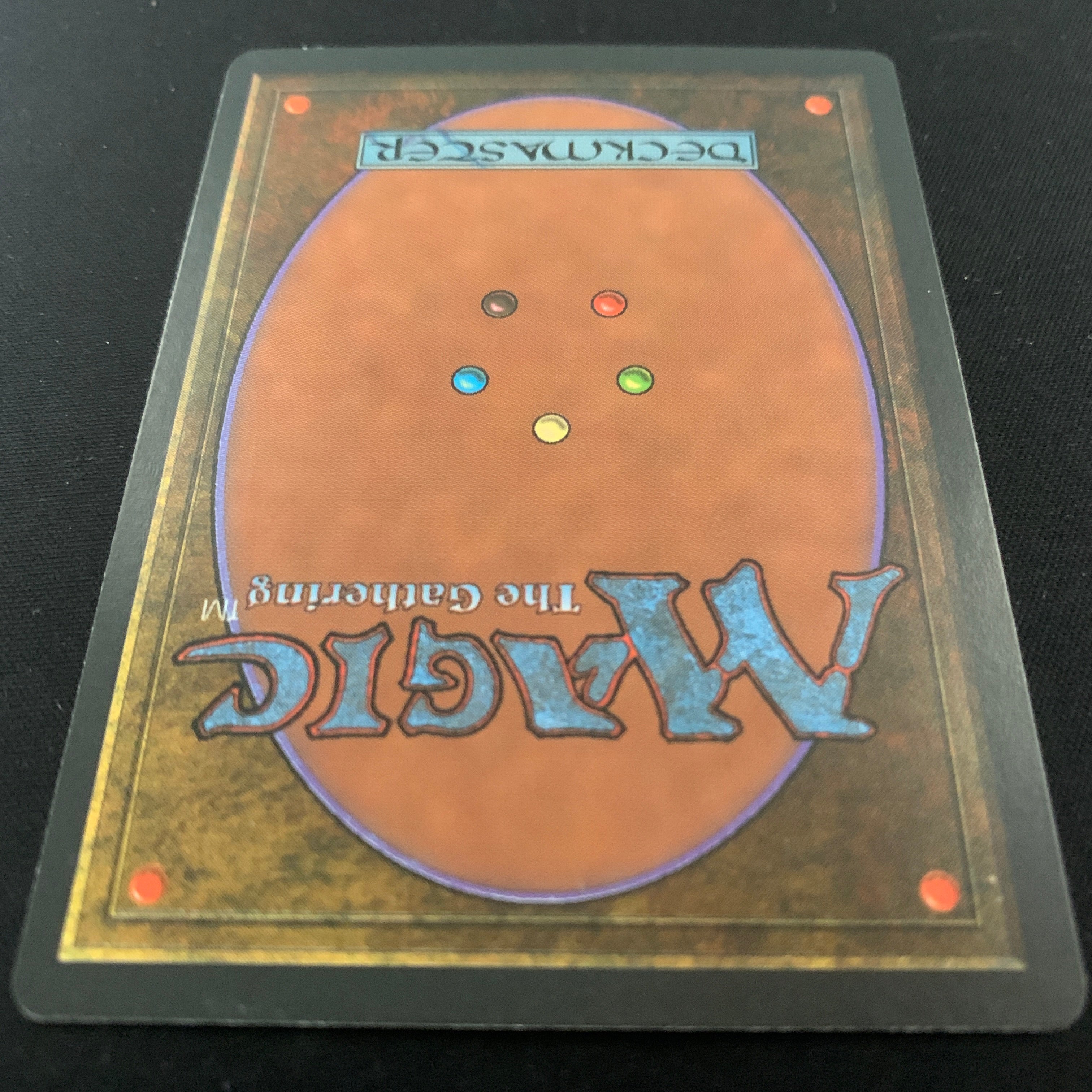 MTG Singles - Taiga - Foreign Black Bordered - 