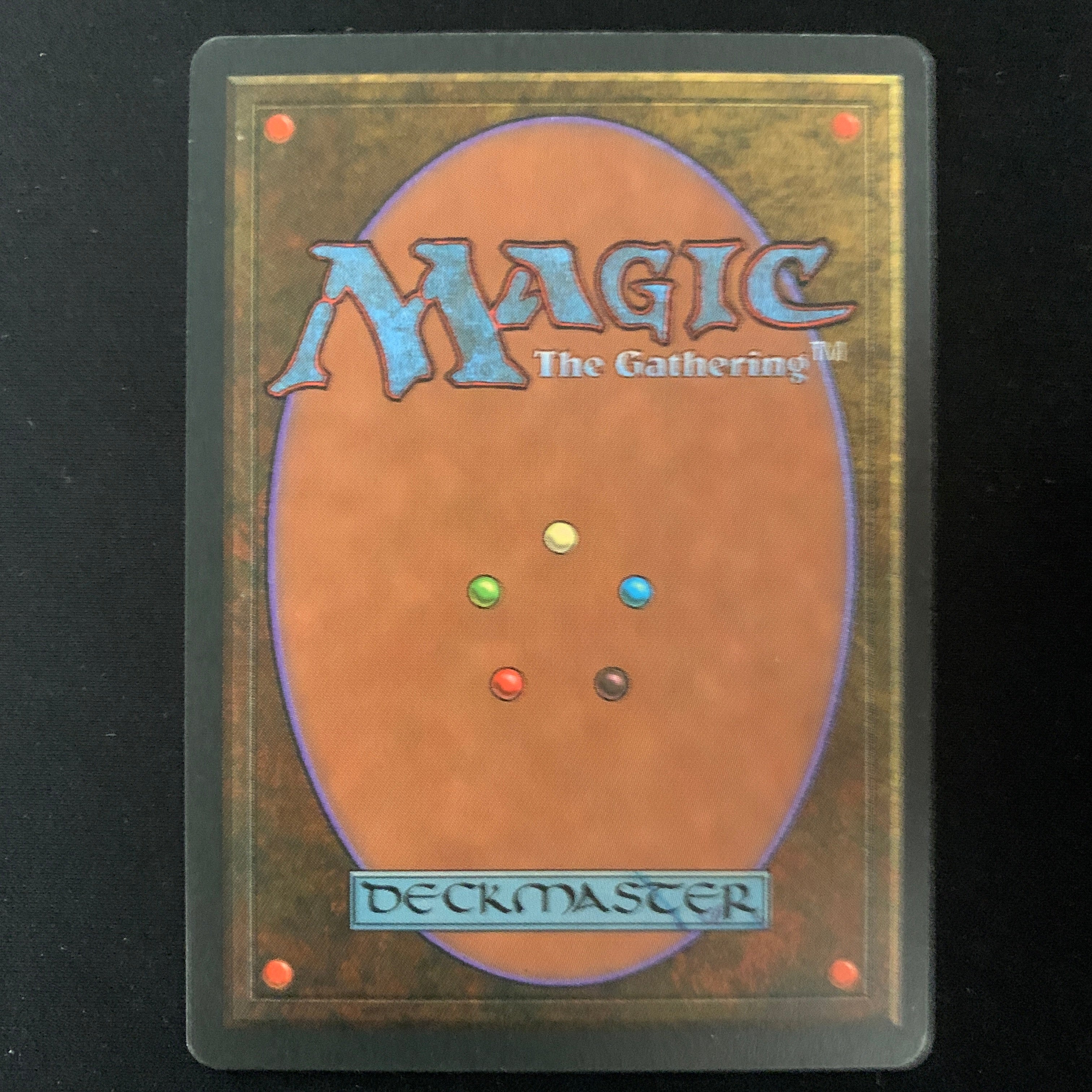 MTG Singles - Taiga - Foreign Black Bordered - 