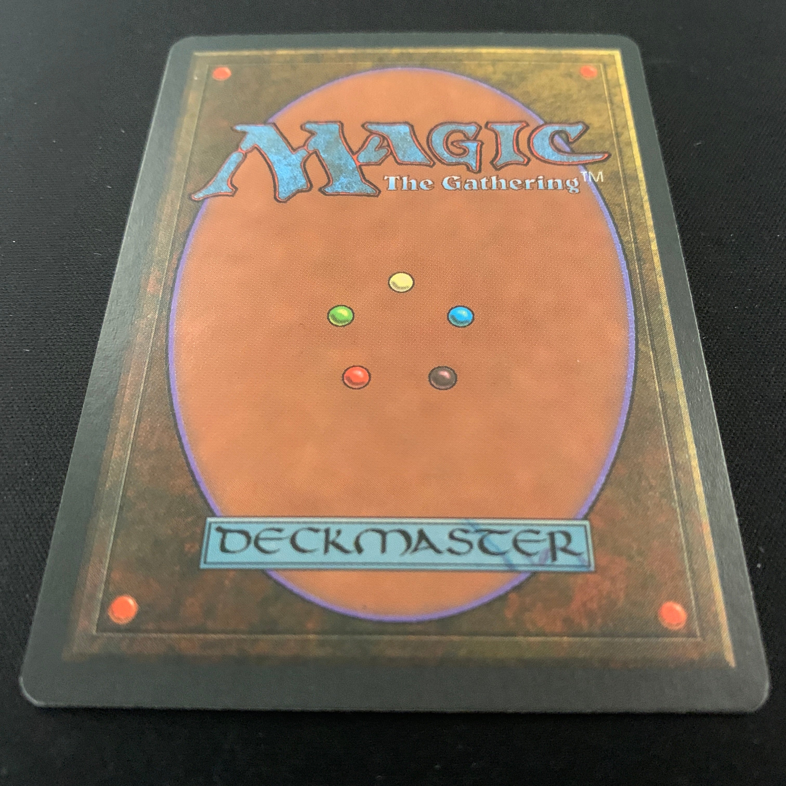 MTG Singles - Taiga - Foreign Black Bordered - 