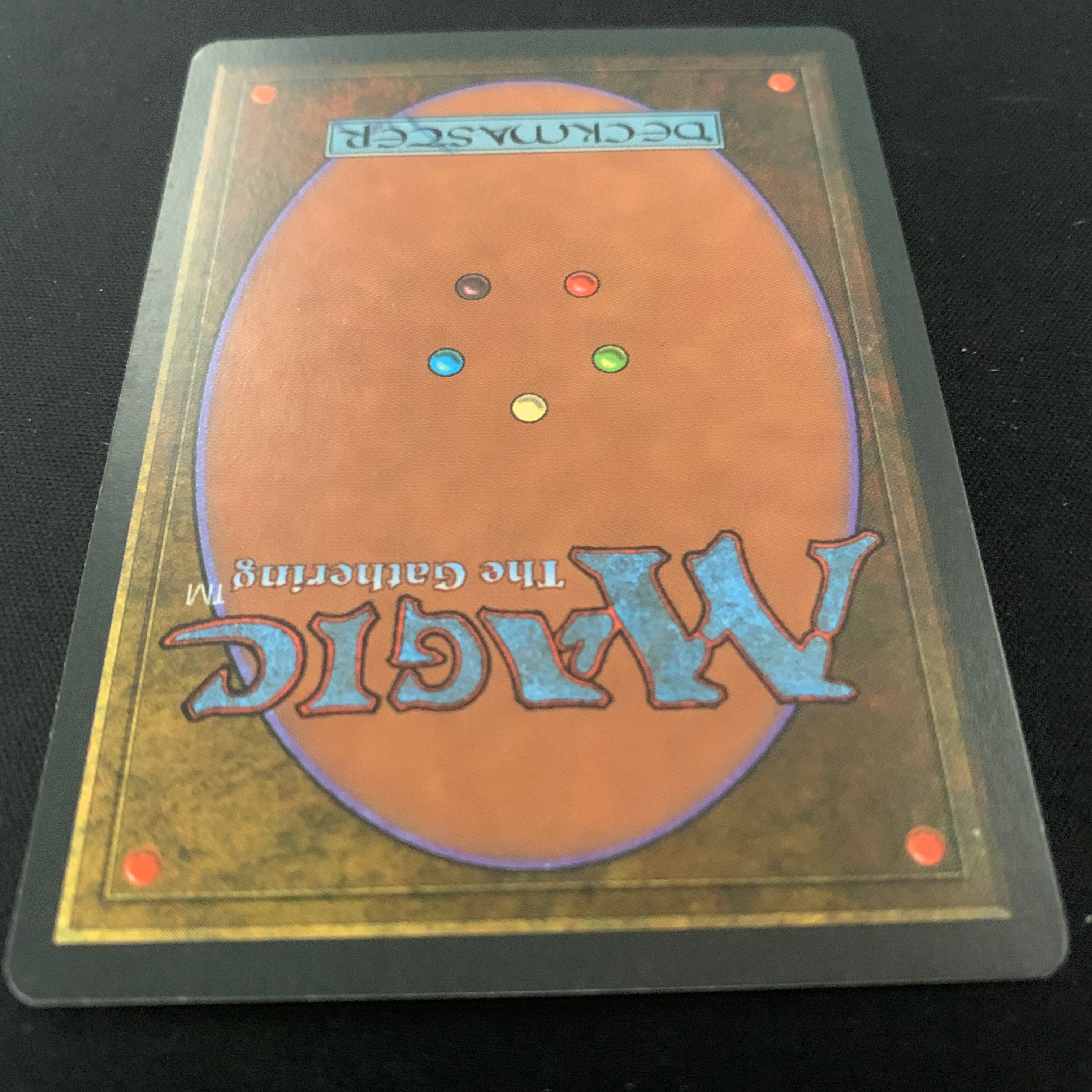 MTG Singles - Taiga - Foreign Black Bordered - 