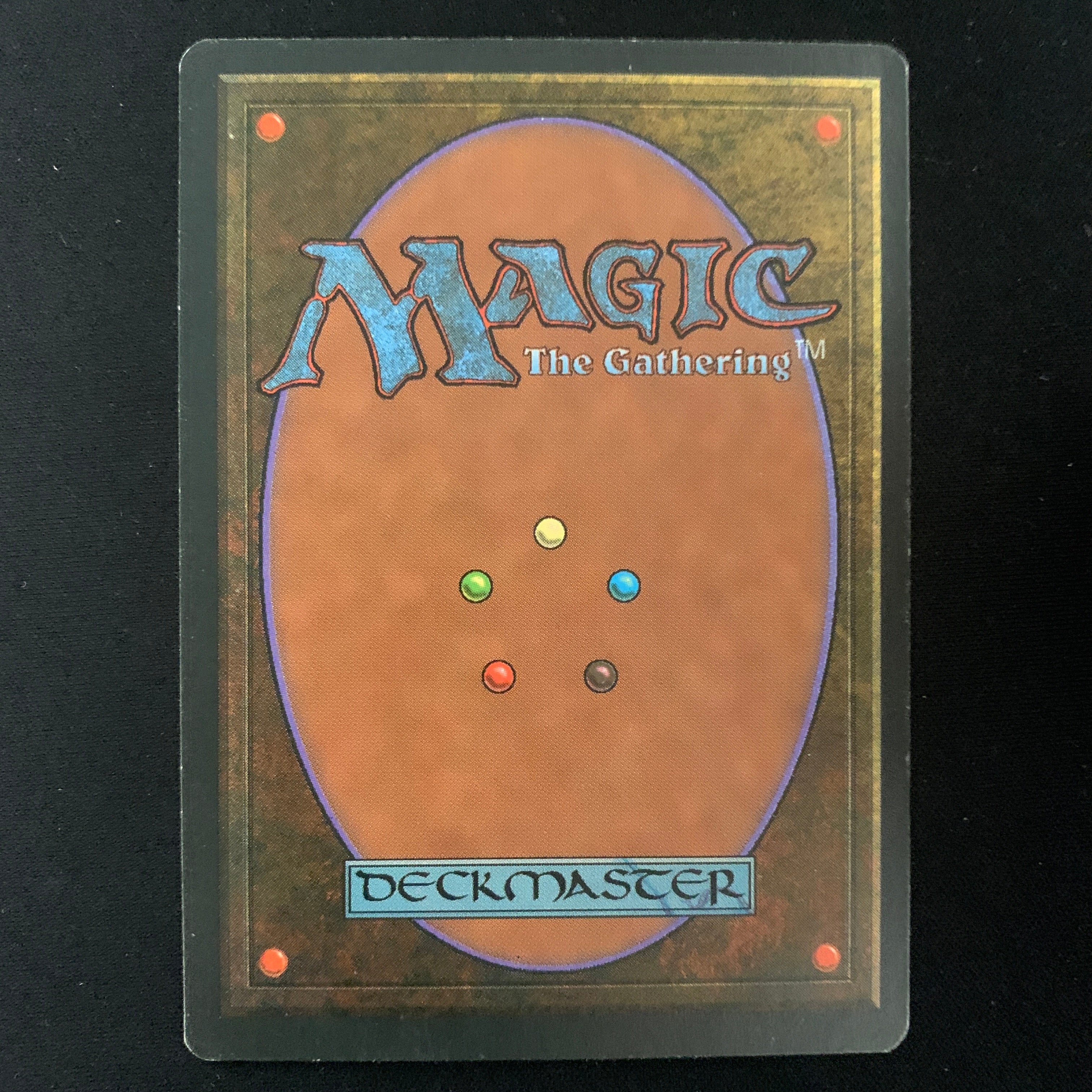 MTG Singles - Taiga - Foreign Black Bordered - 