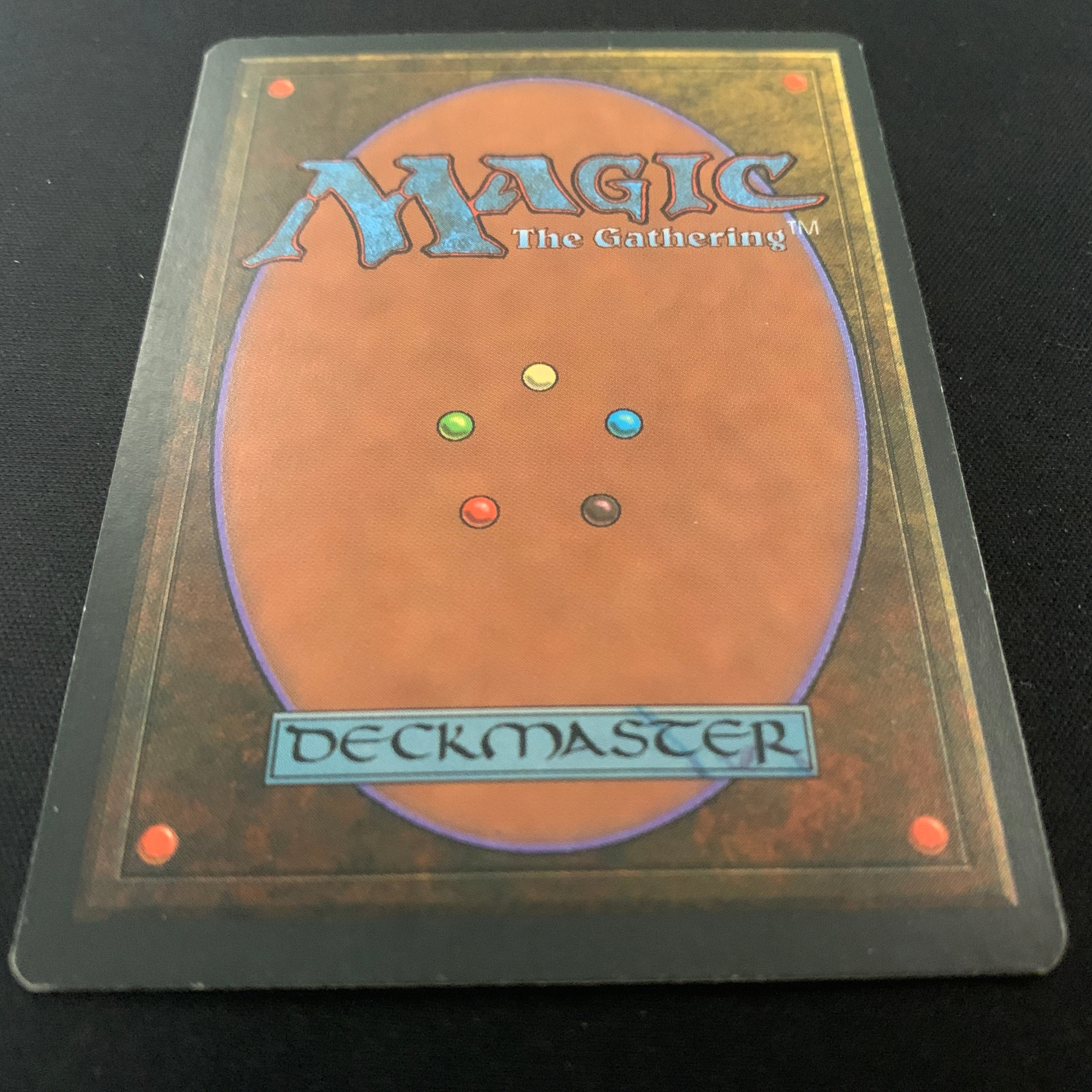 MTG Singles - Taiga - Foreign Black Bordered - 