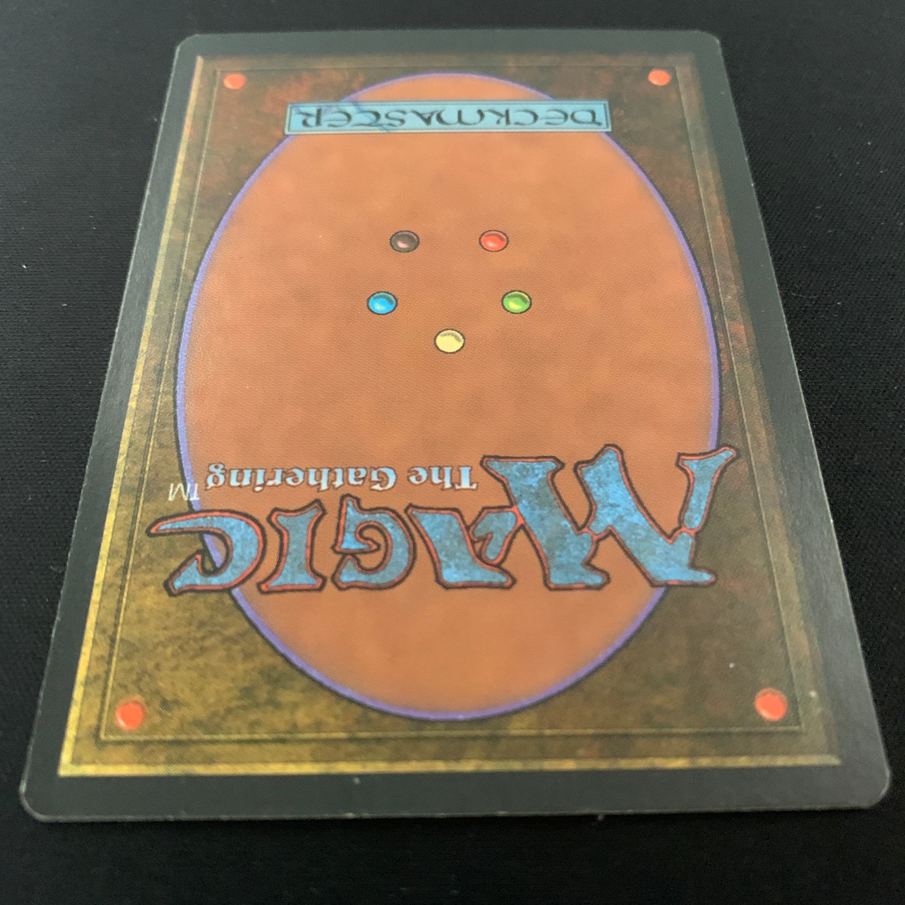 MTG Singles - Taiga - Foreign Black Bordered - 