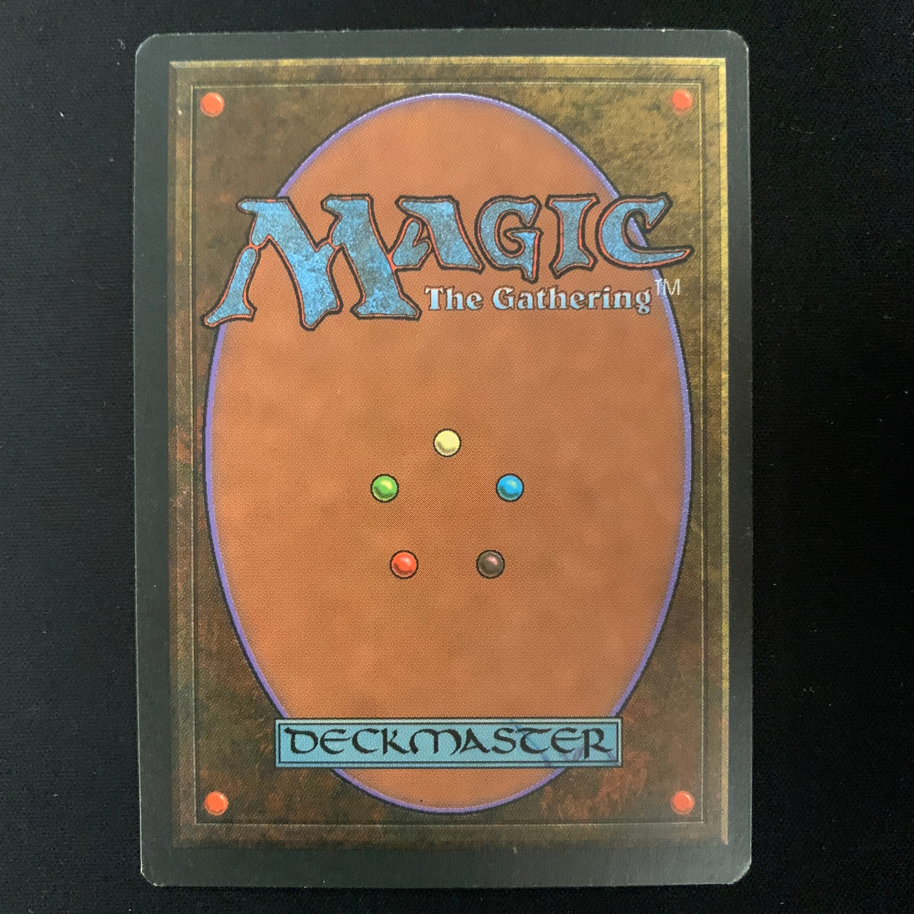 MTG Singles - Taiga - Foreign Black Bordered - 