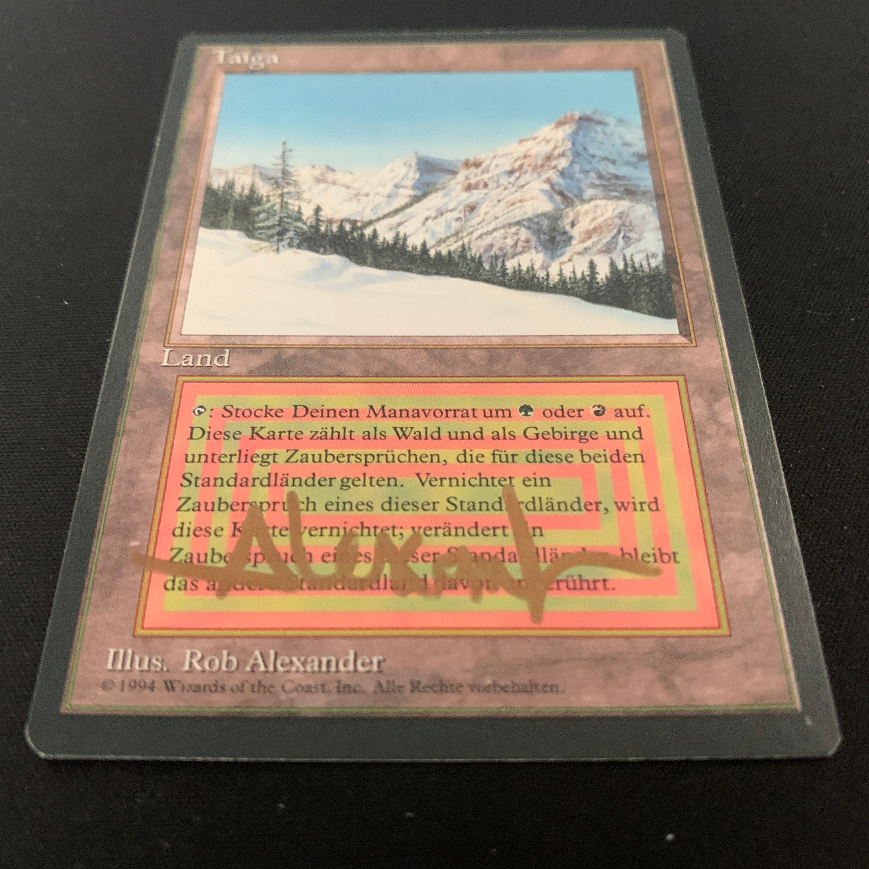 MTG Singles - Taiga - Foreign Black Bordered - 