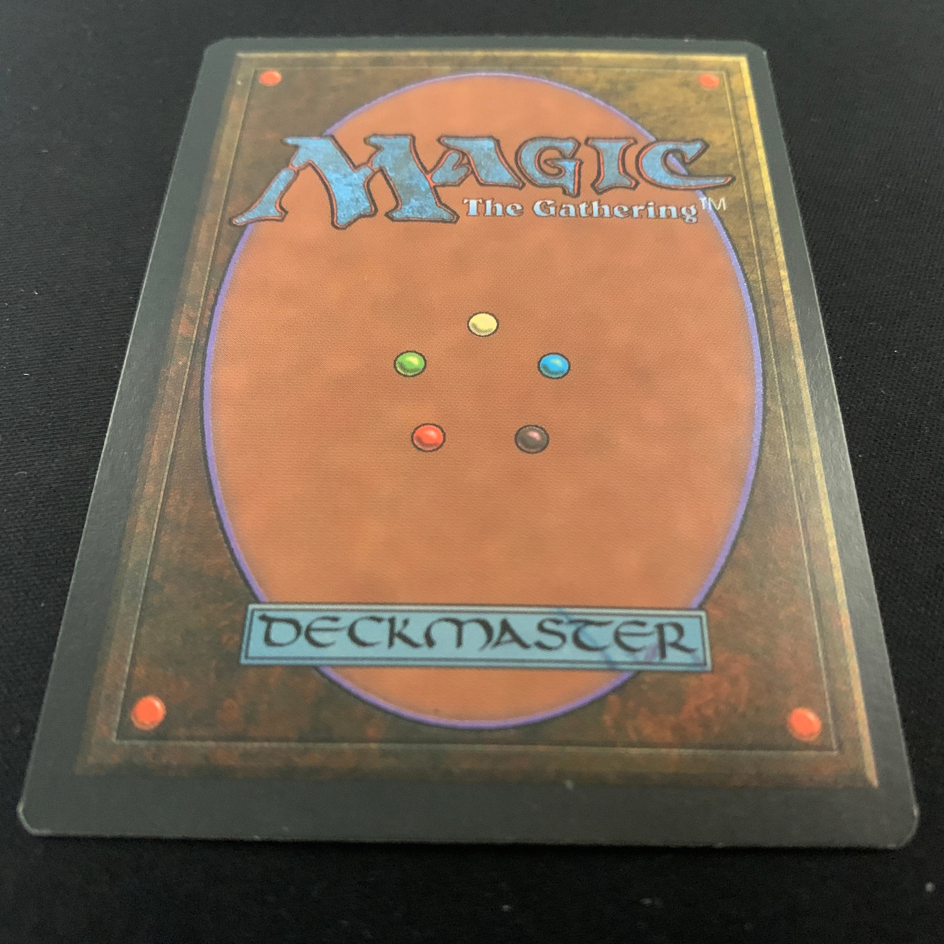 MTG Singles - Taiga - Foreign Black Bordered - 