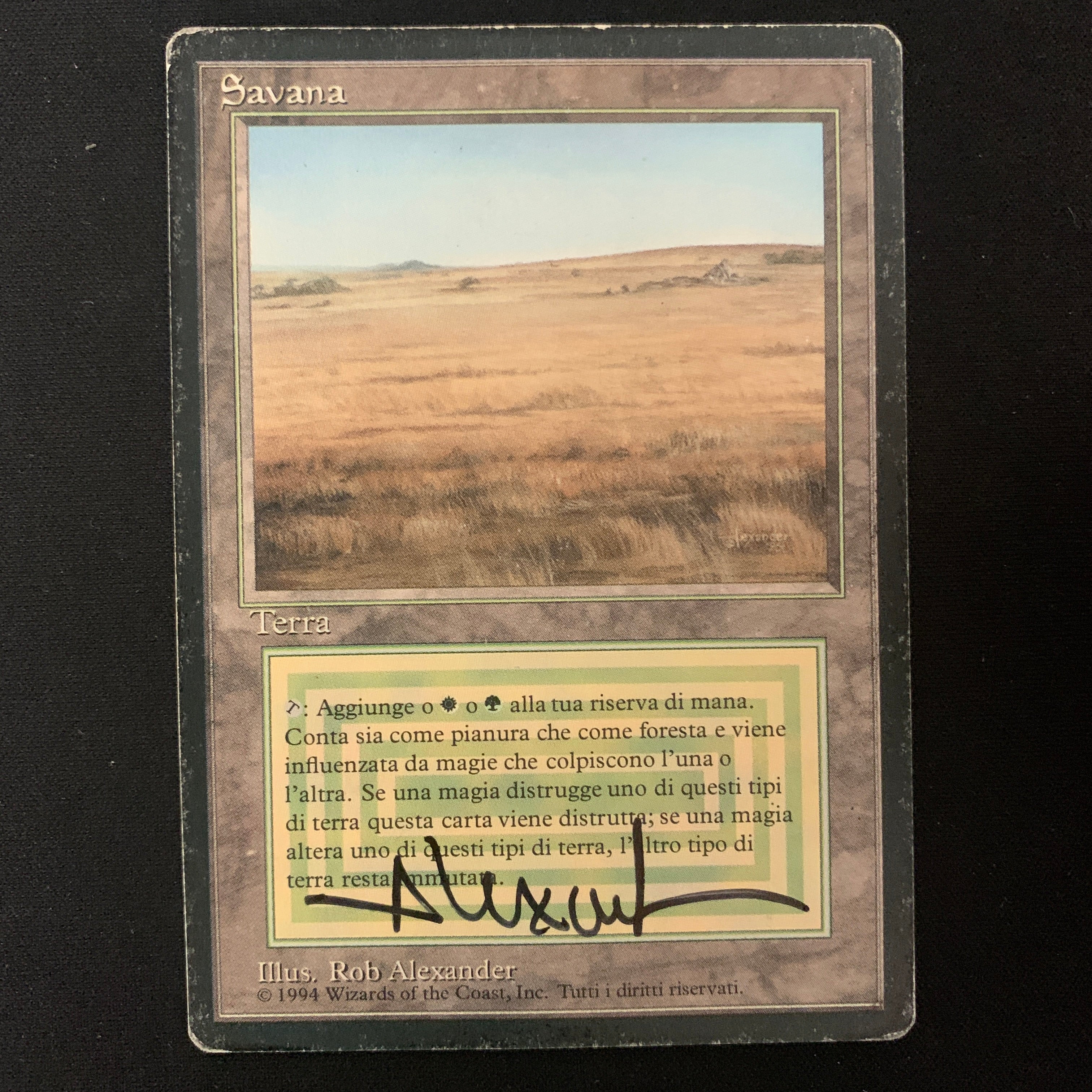 MTG Singles - Savannah - Foreign Black Bordered - Italian - PL - SIGNED, INKED - 25217