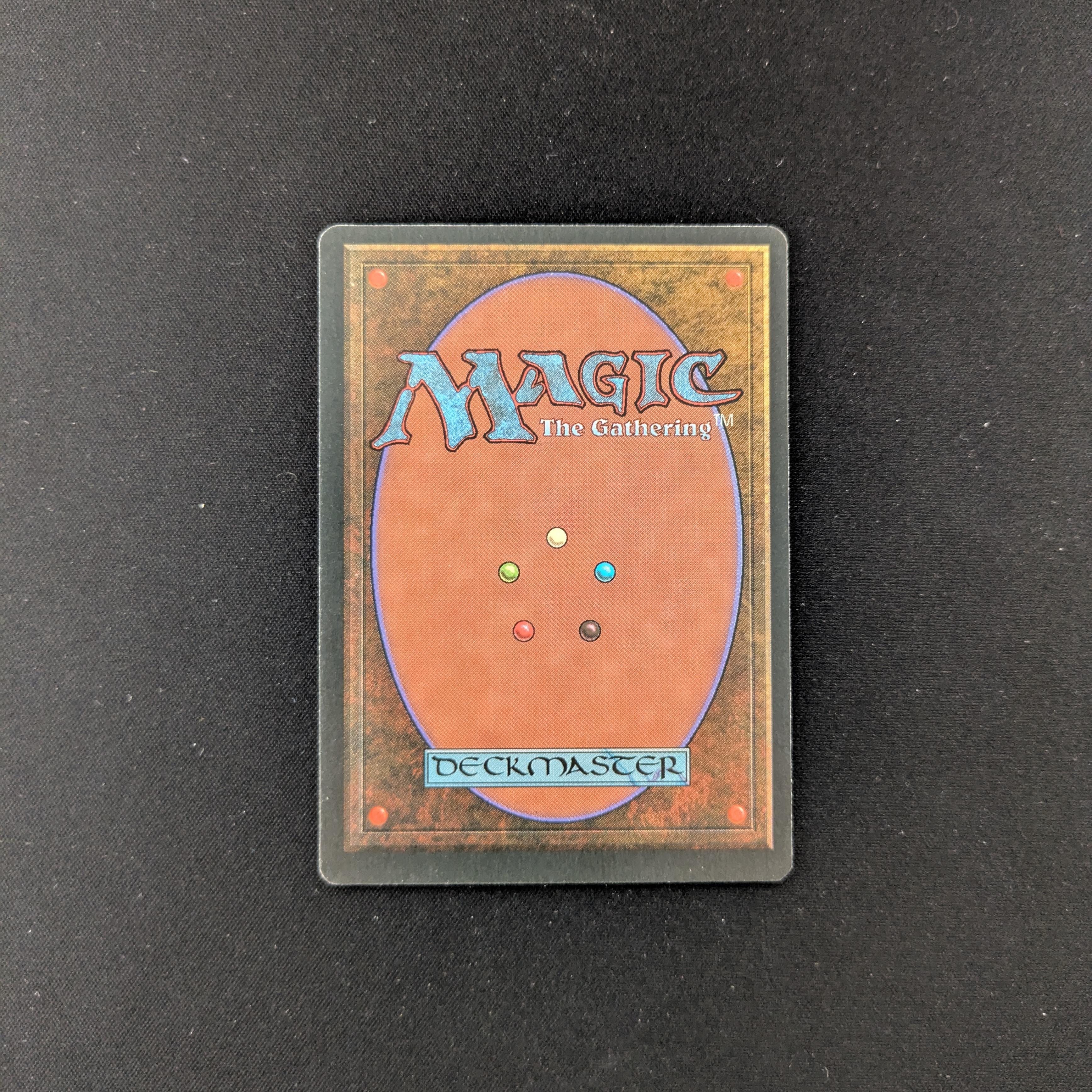 MTG Singles - Taiga - Foreign Black Bordered - 