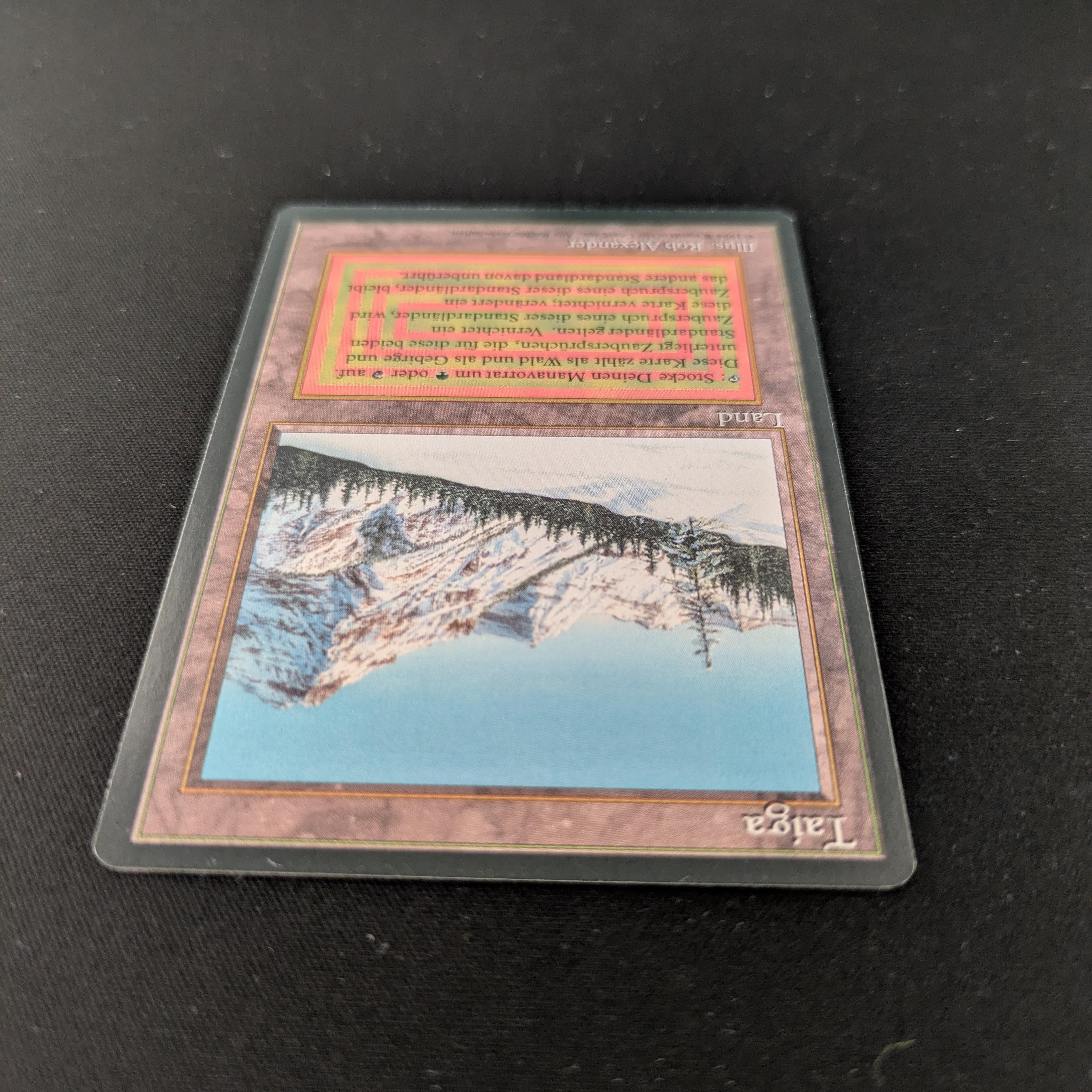 MTG Singles - Taiga - Foreign Black Bordered - 