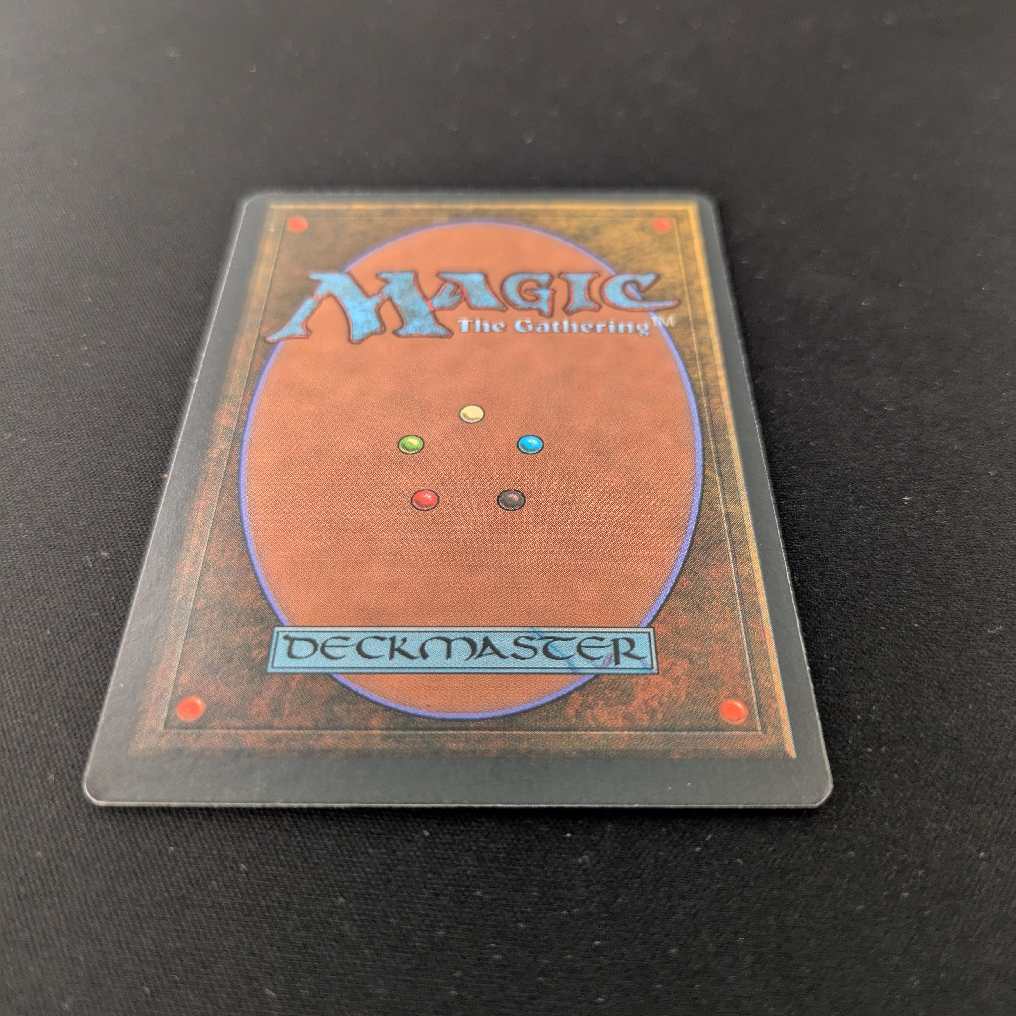 MTG Singles - Taiga - Foreign Black Bordered - 