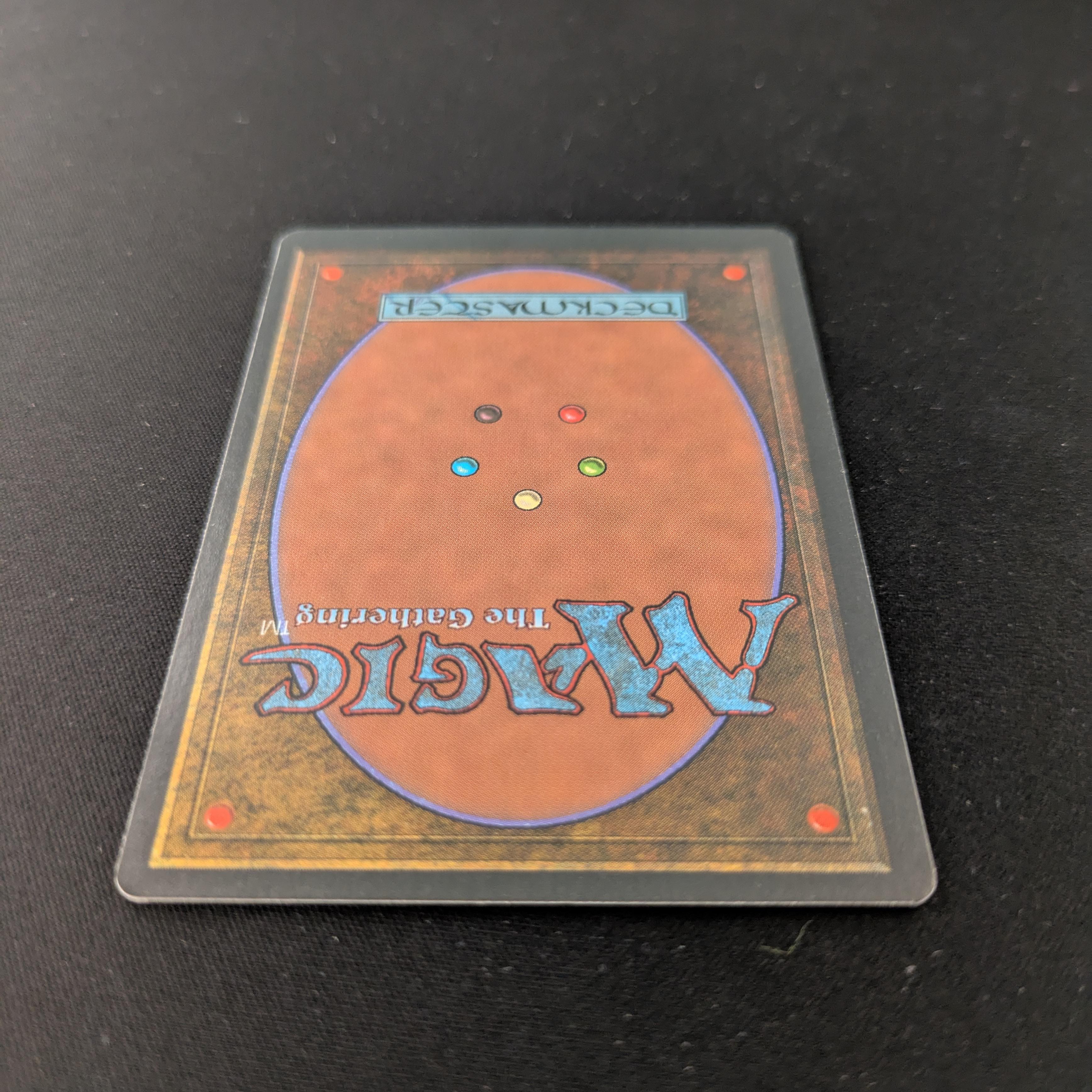 MTG Singles - Taiga - Foreign Black Bordered - 