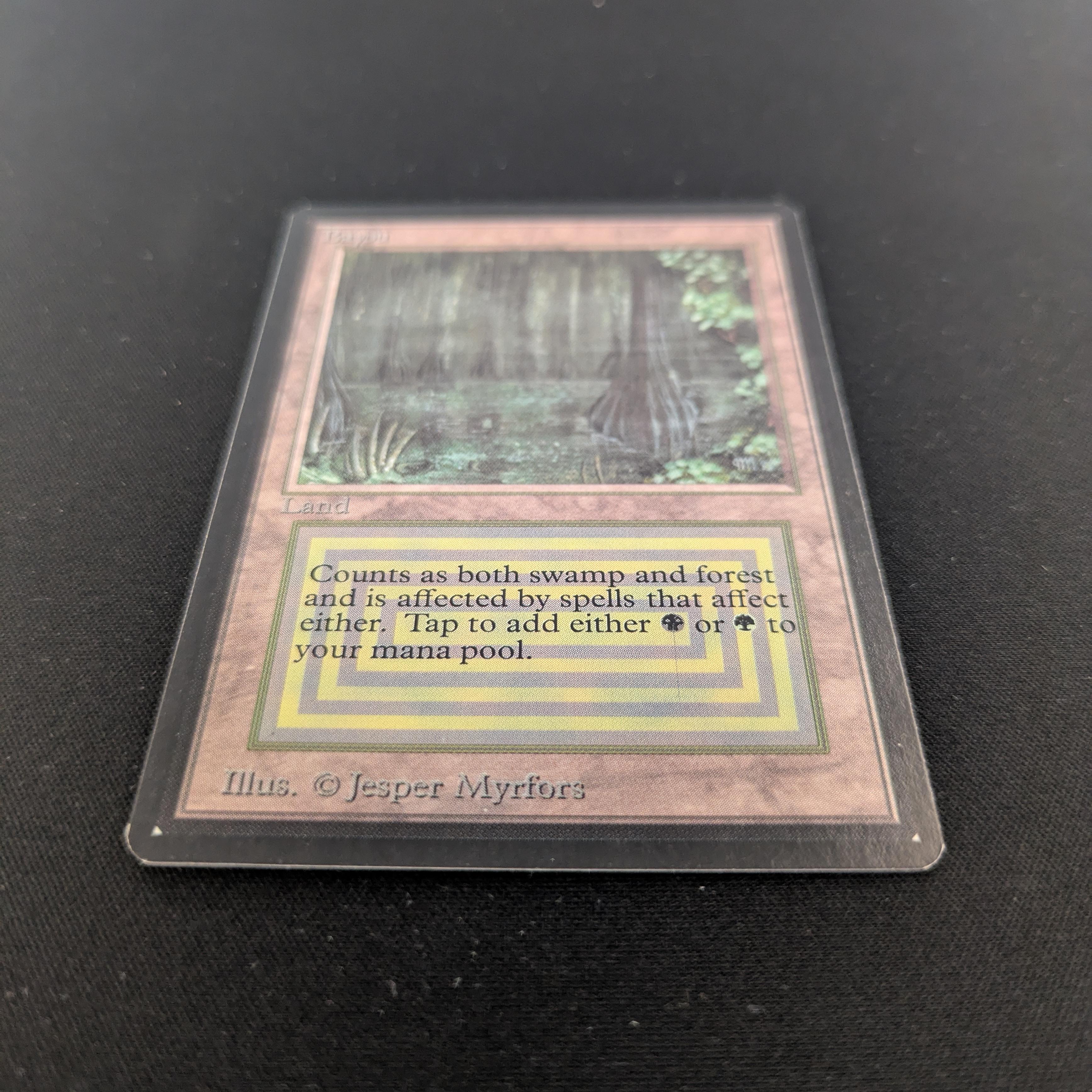 MTG Singles - Bayou - Beta - 