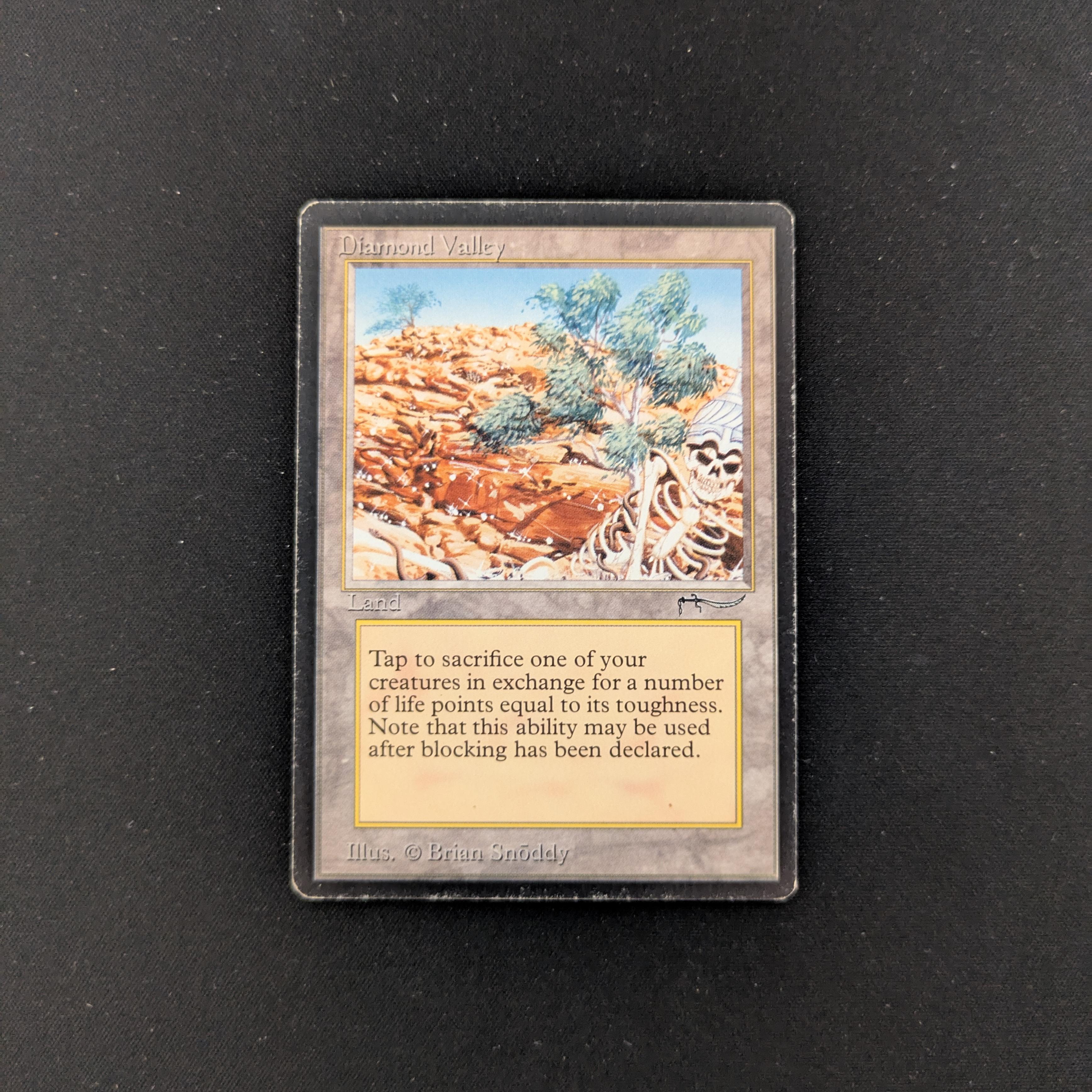MTG Singles - Diamond Valley - Arabian Nights - PL - 25453