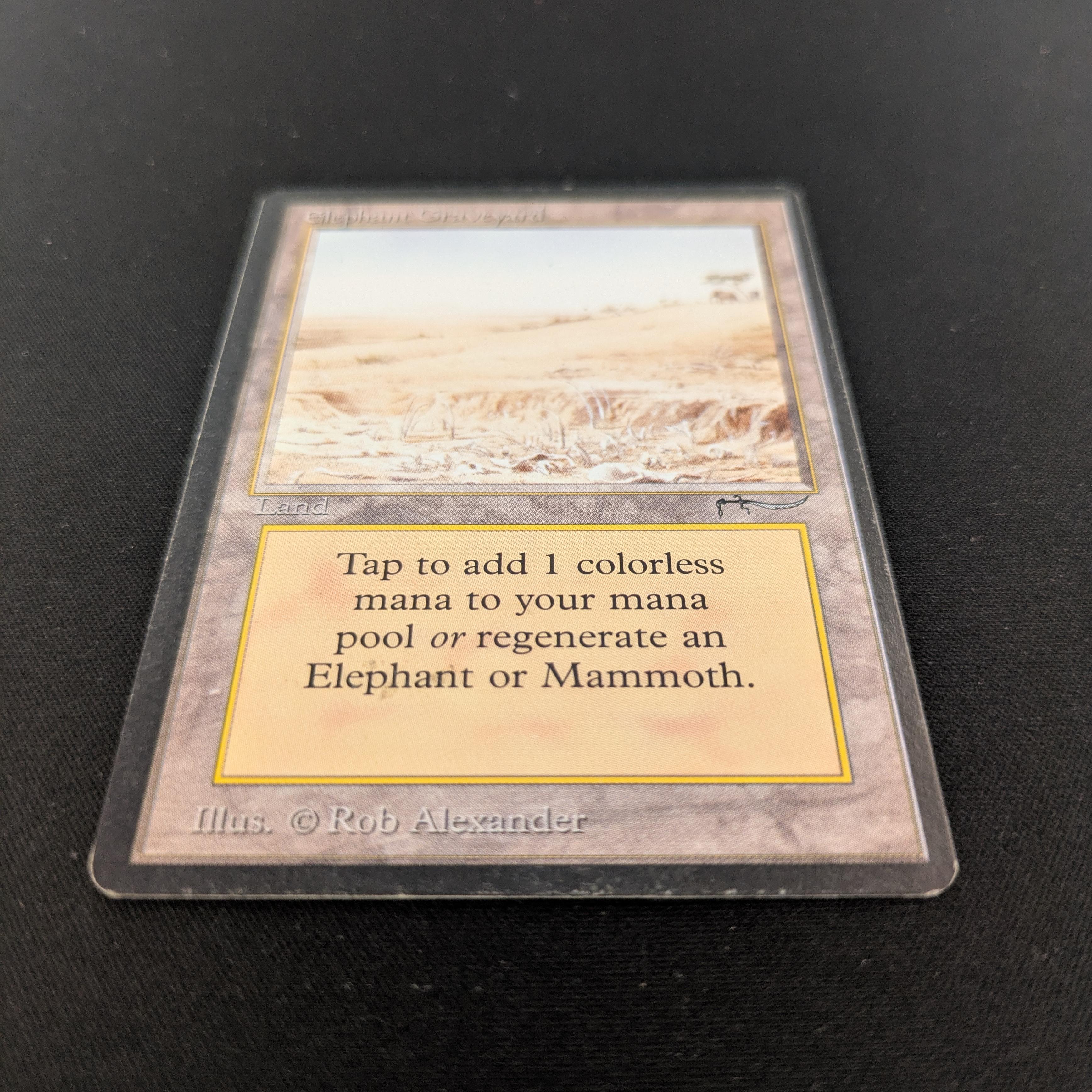 MTG Singles - Elephant Graveyard - Arabian Nights - 