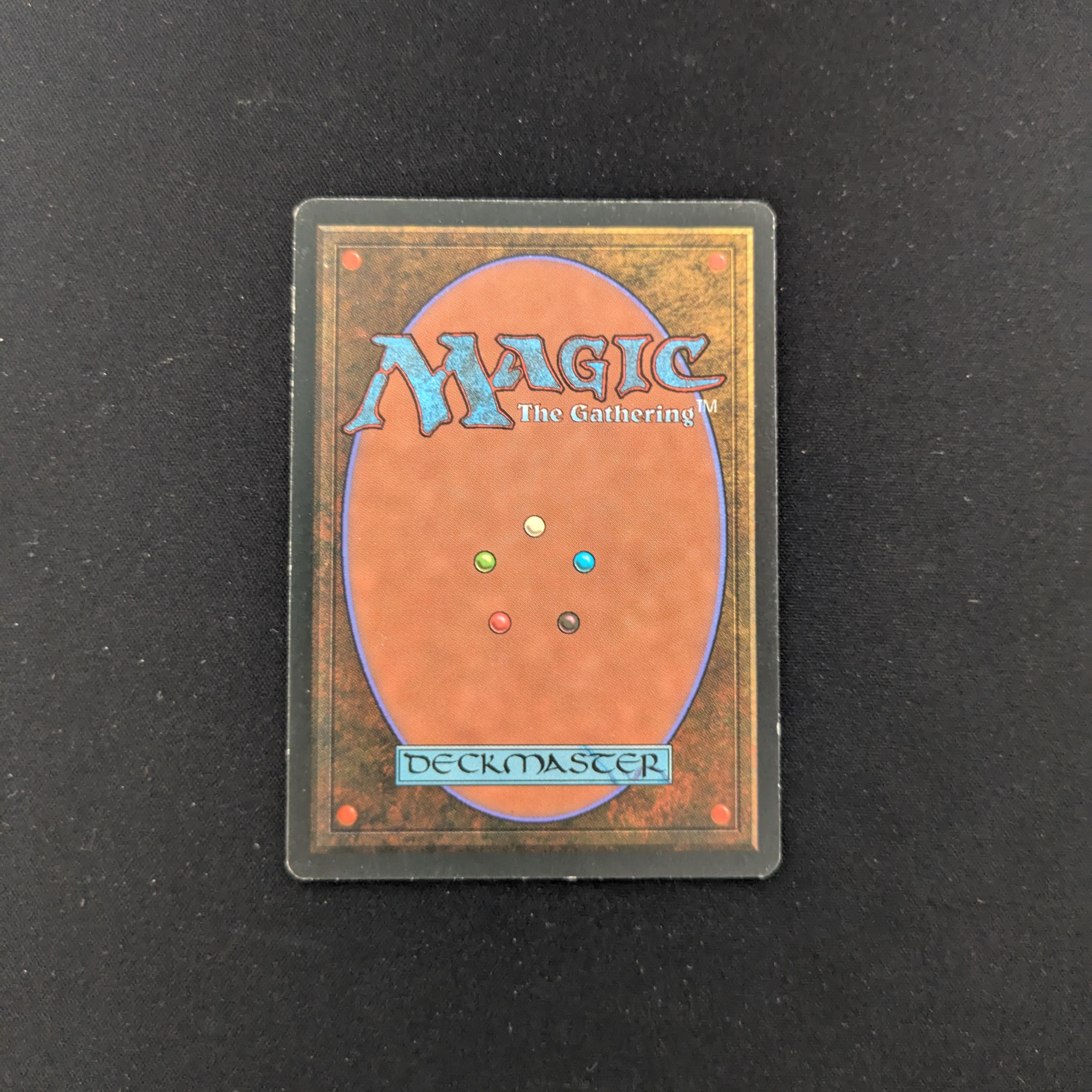 MTG Singles - Bayou - Foreign Black Bordered - 