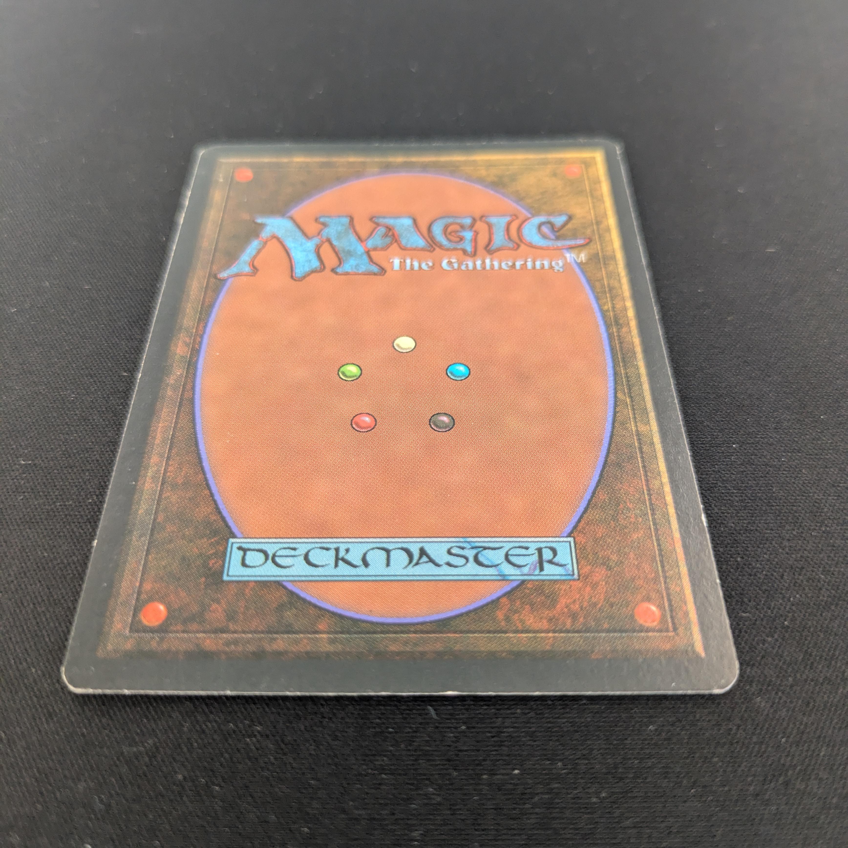 MTG Singles - Bayou - Foreign Black Bordered - 
