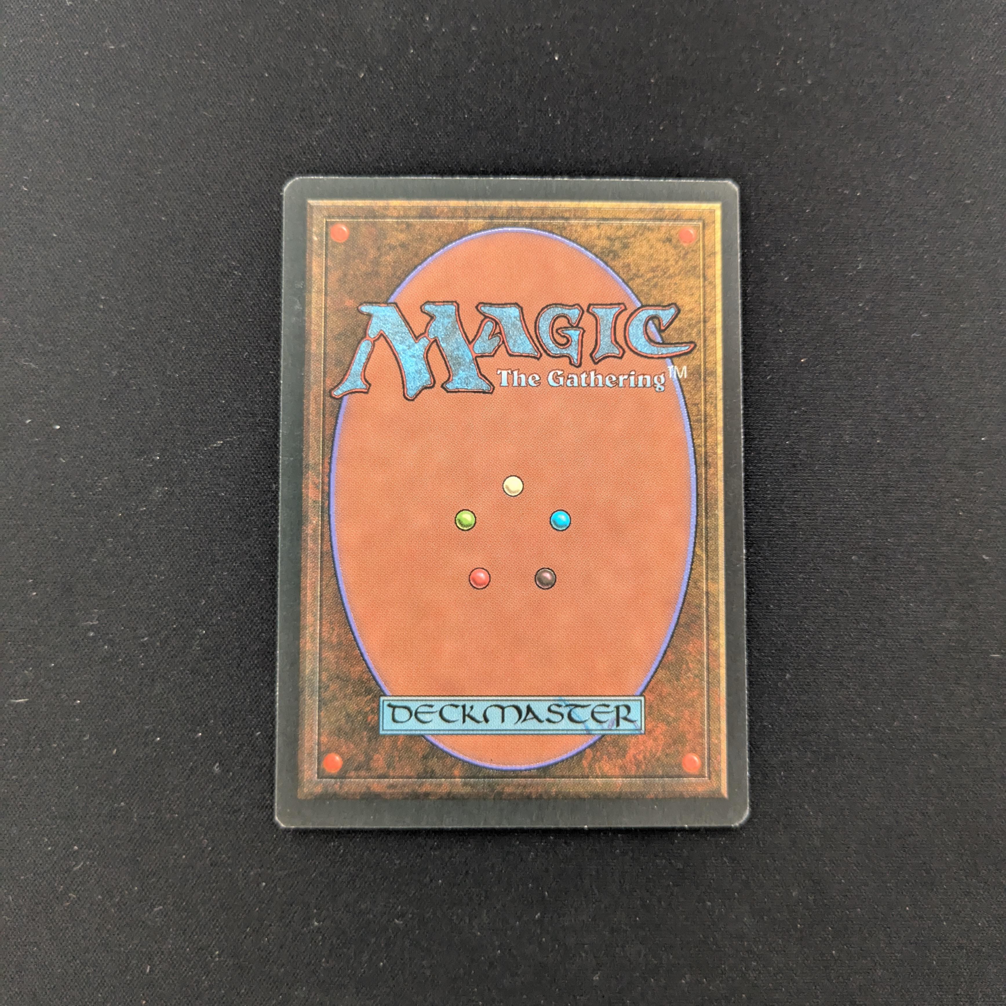 MTG Singles - Taiga - Foreign Black Bordered - 
