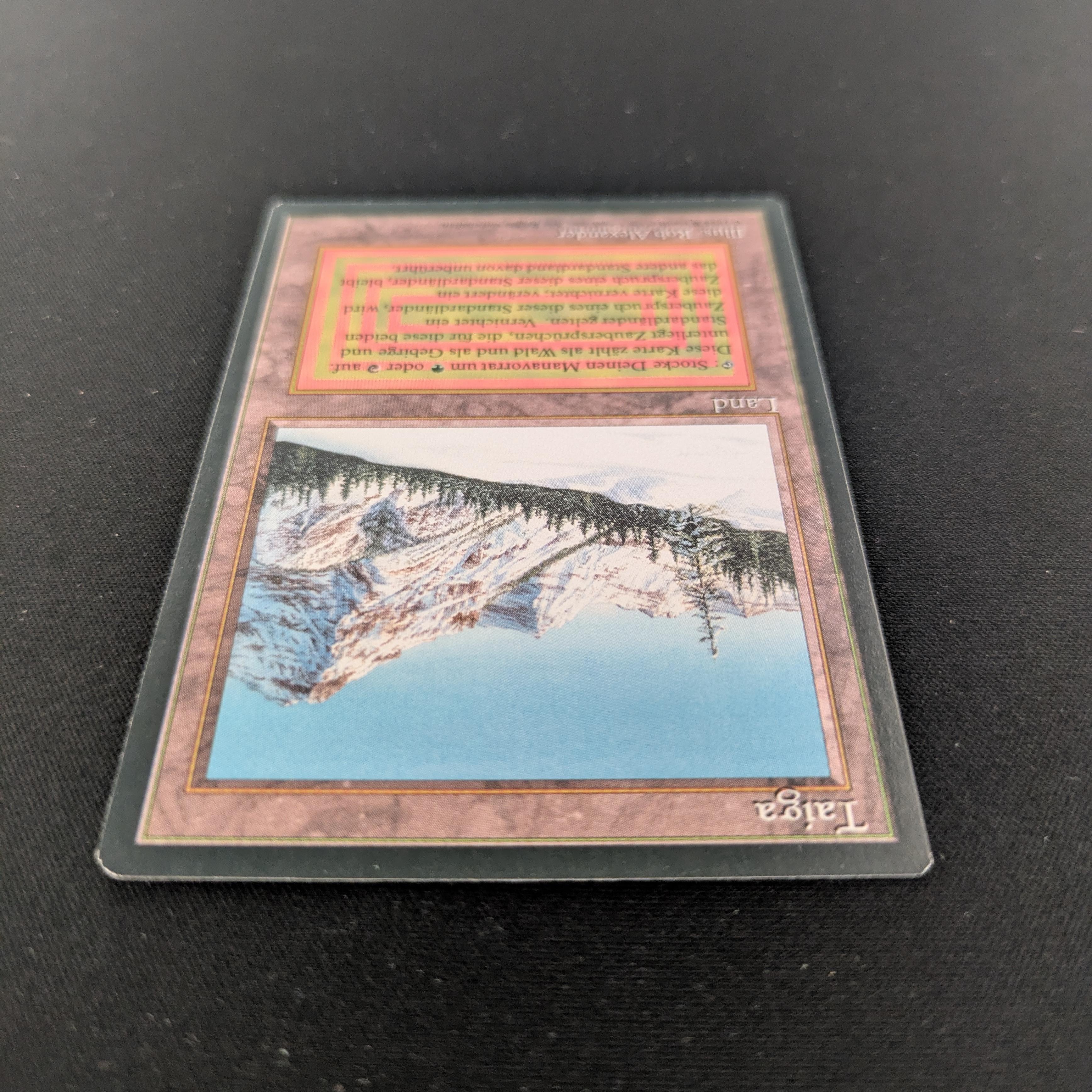 MTG Singles - Taiga - Foreign Black Bordered - 