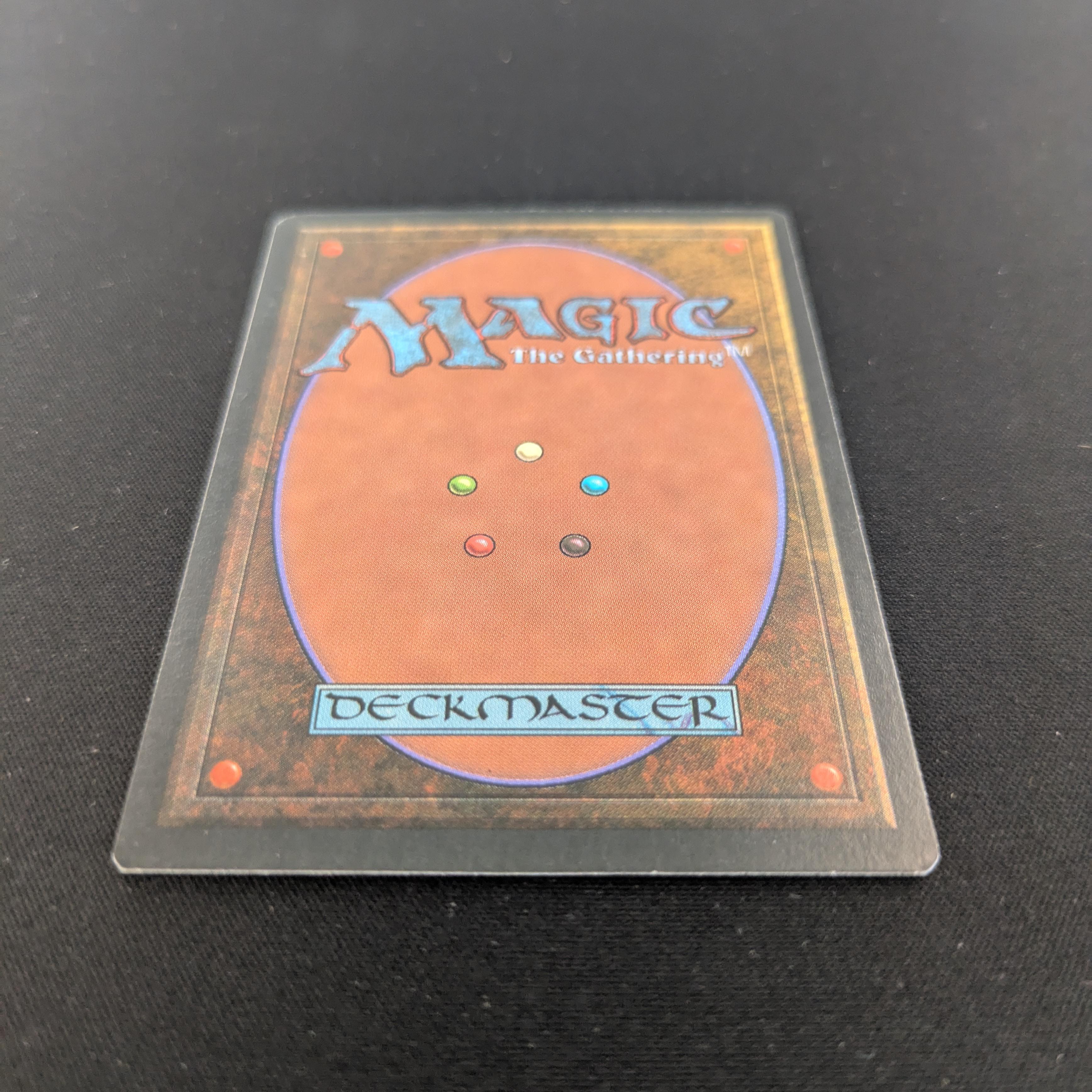 MTG Singles - Taiga - Foreign Black Bordered - 