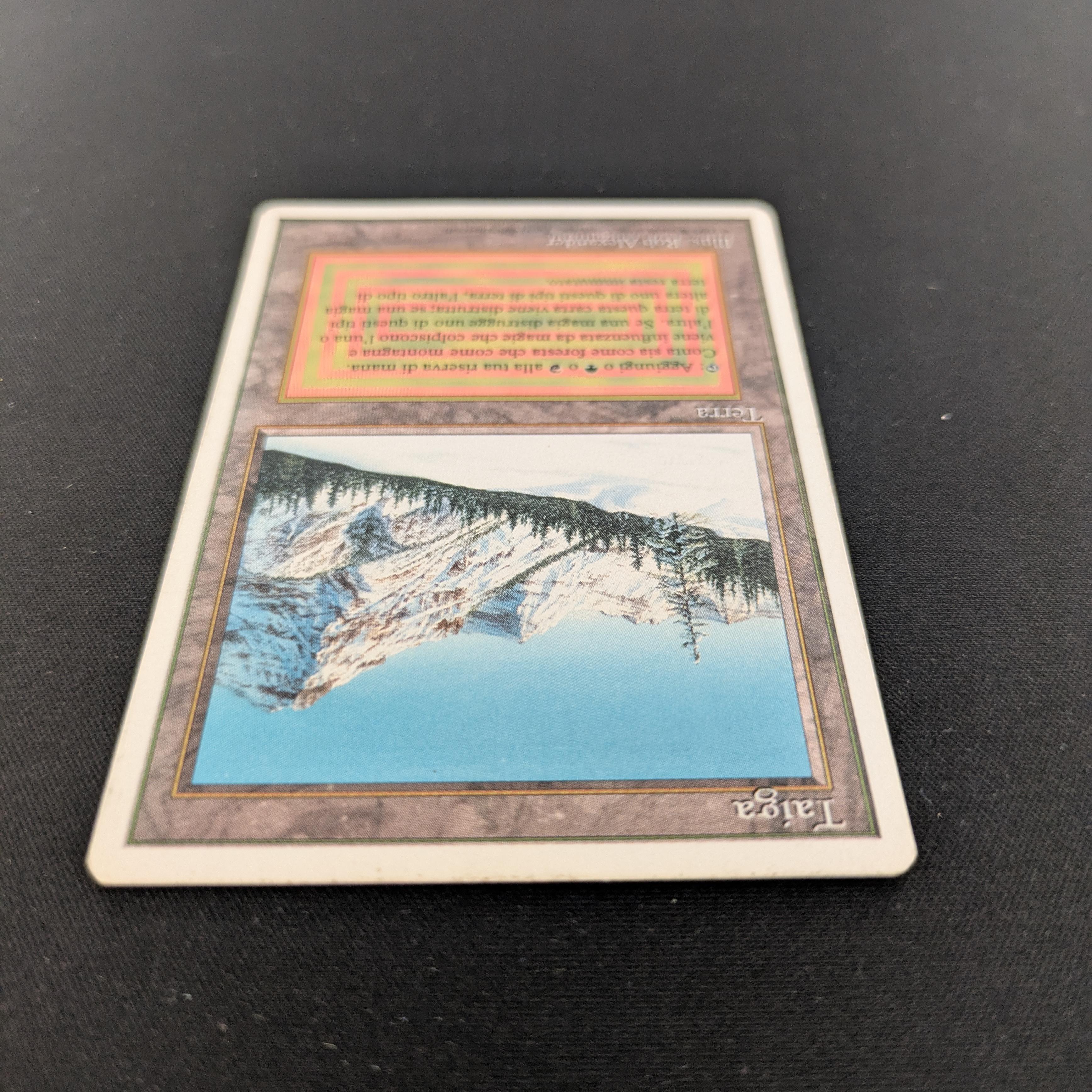 MTG Singles - Taiga - Foreign White Bordered - 