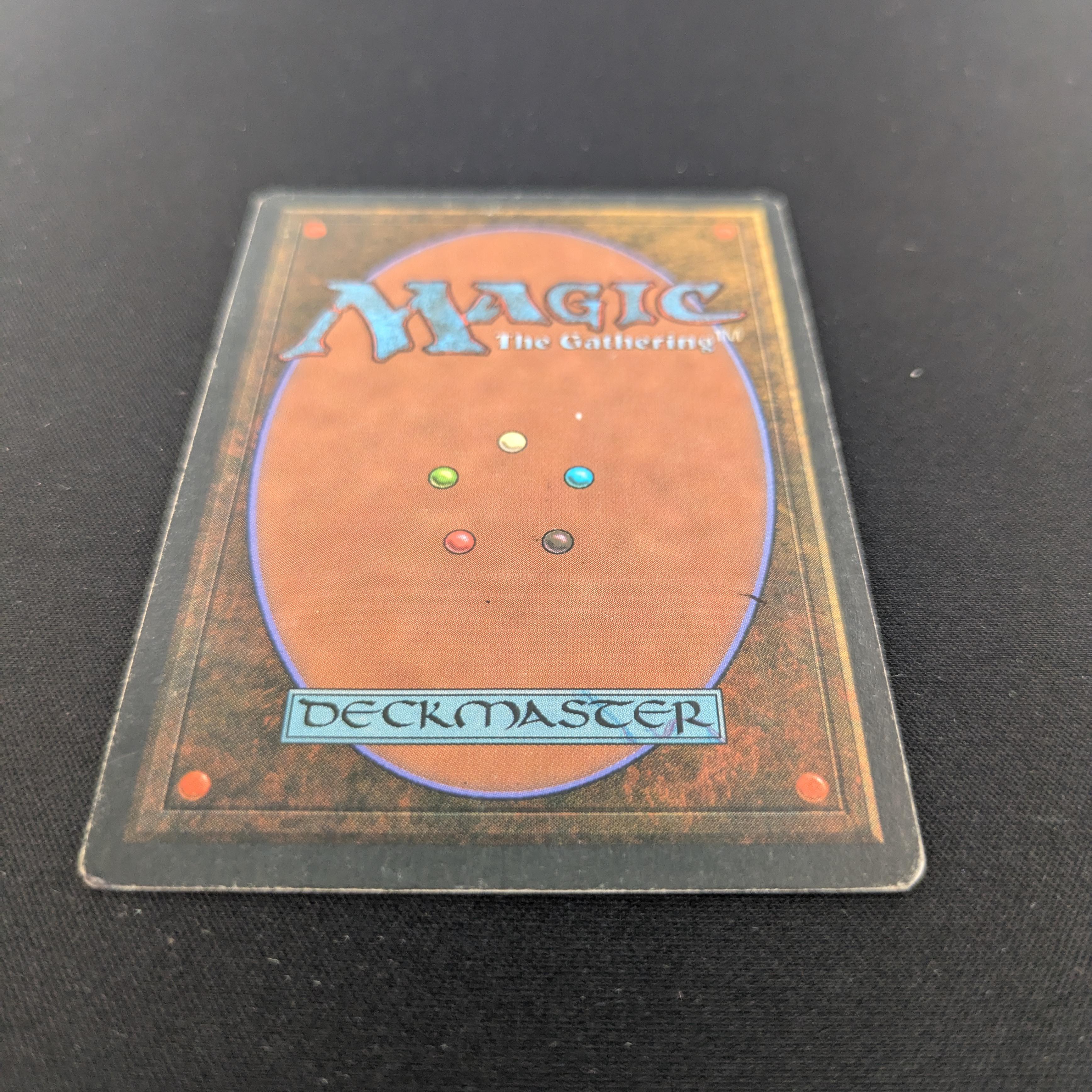 MTG Singles - Taiga - Foreign White Bordered - 