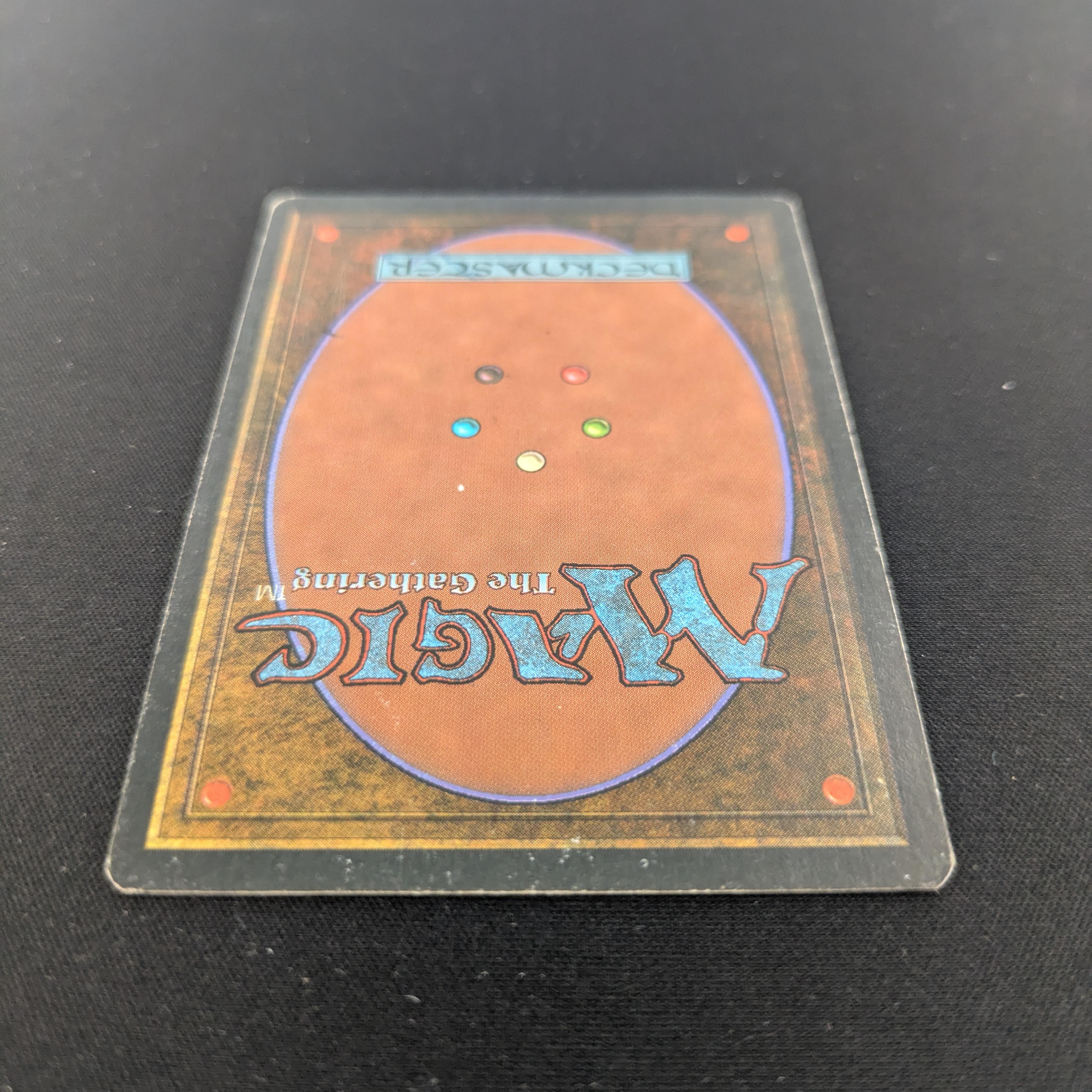 MTG Singles - Taiga - Foreign White Bordered - 