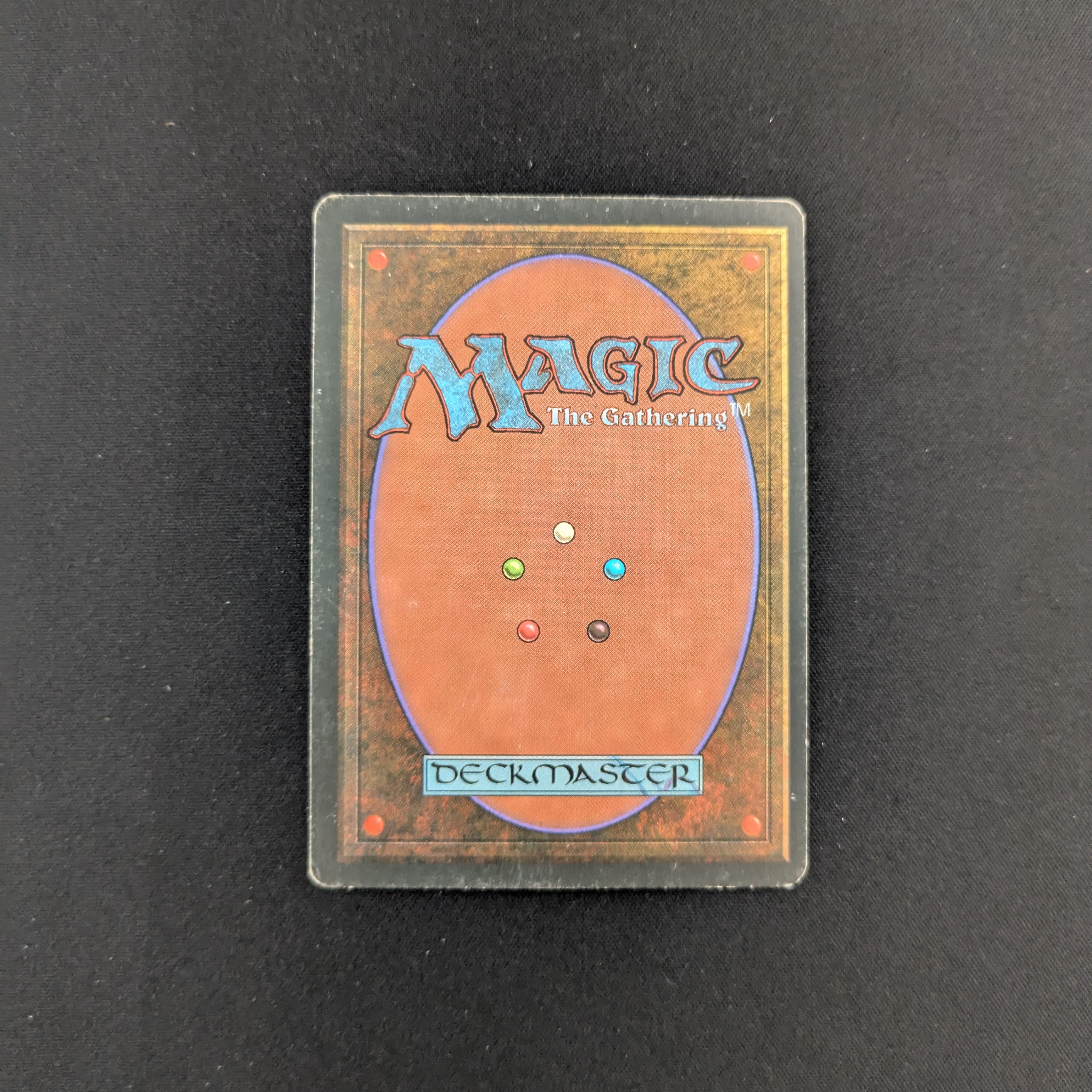 MTG Singles - Tundra - Foreign Black Bordered - 